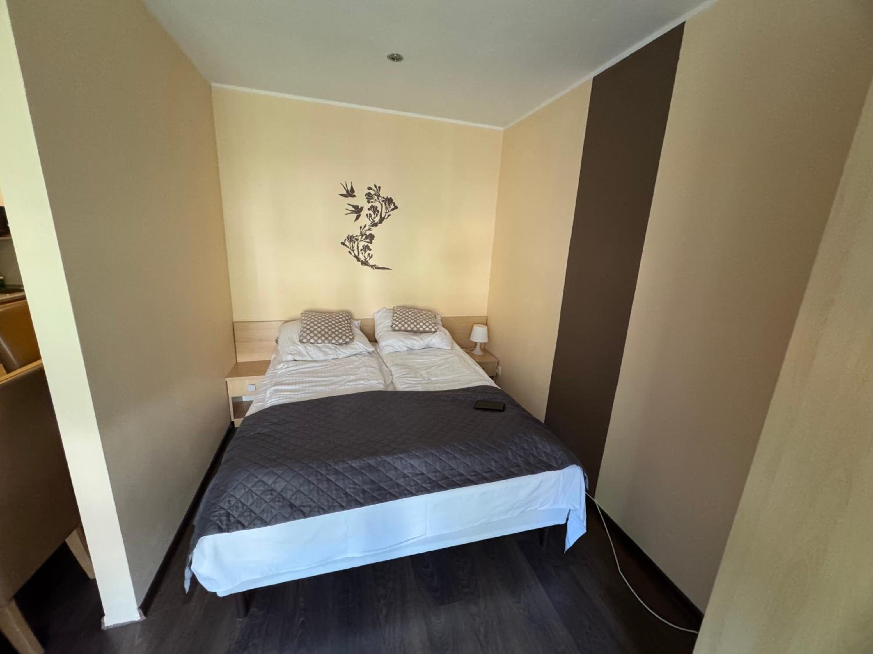 Studio Apartment with Balcony photo 2