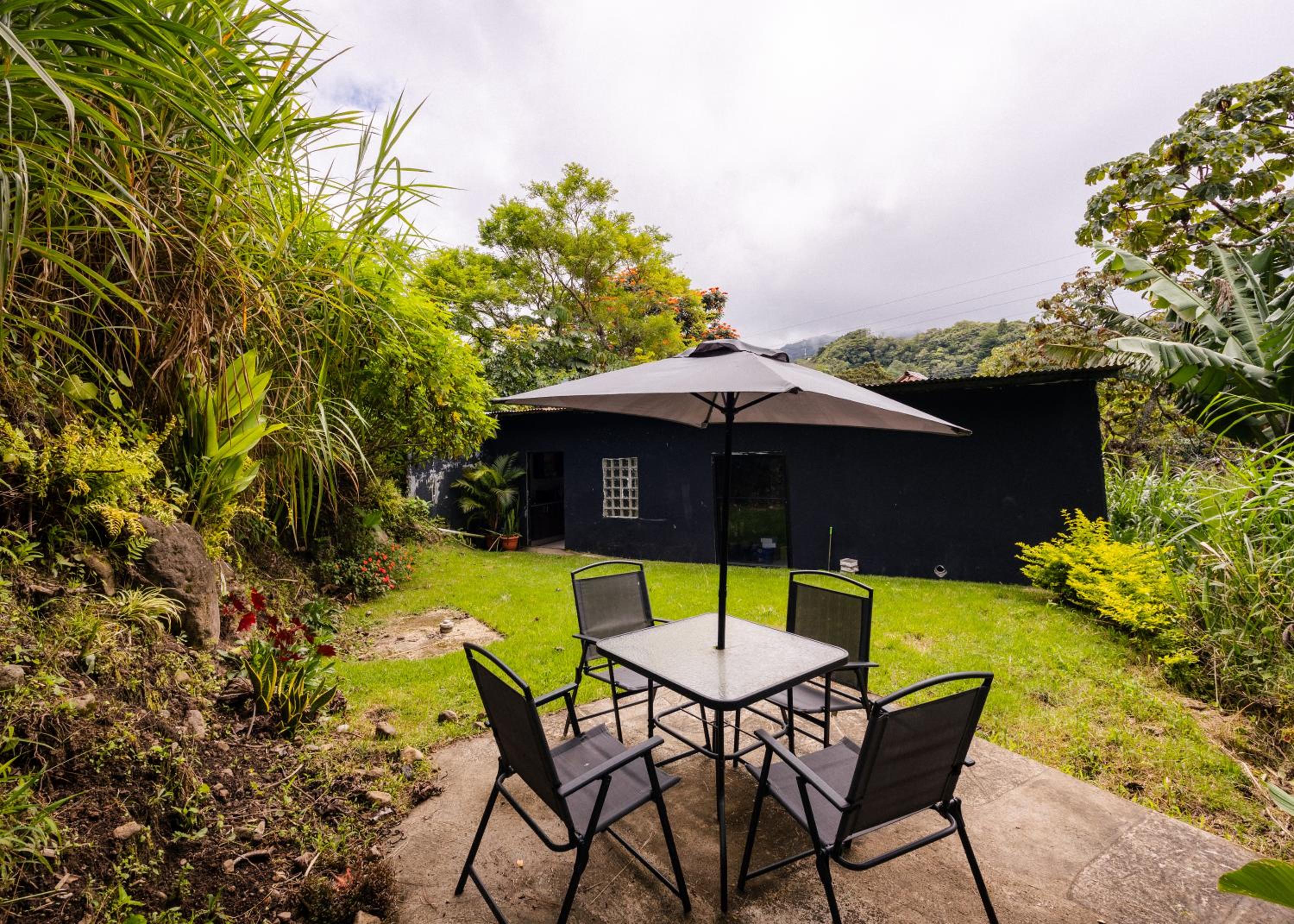 Apartment with Terrace photo 3