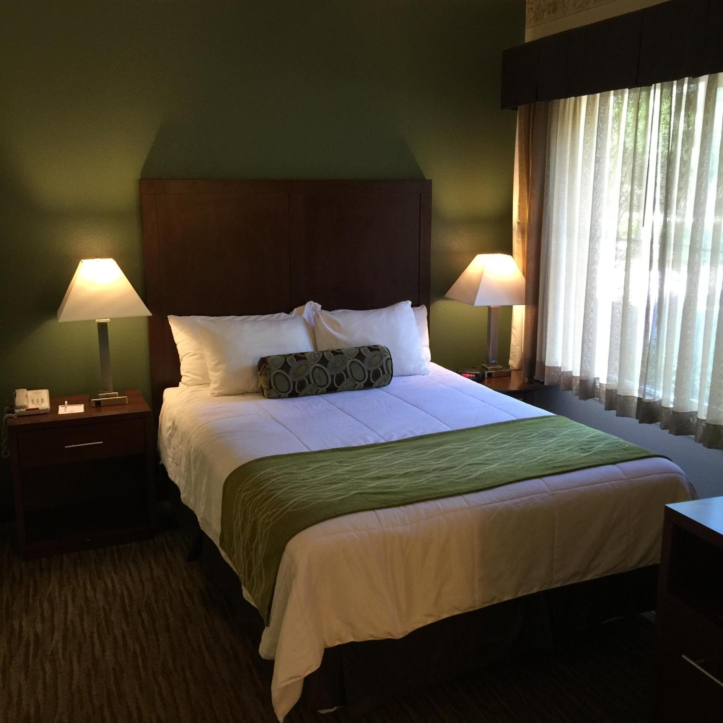 Queen Room with Sofa Bed - Disability Access/Non-Smoking - Photo 6
