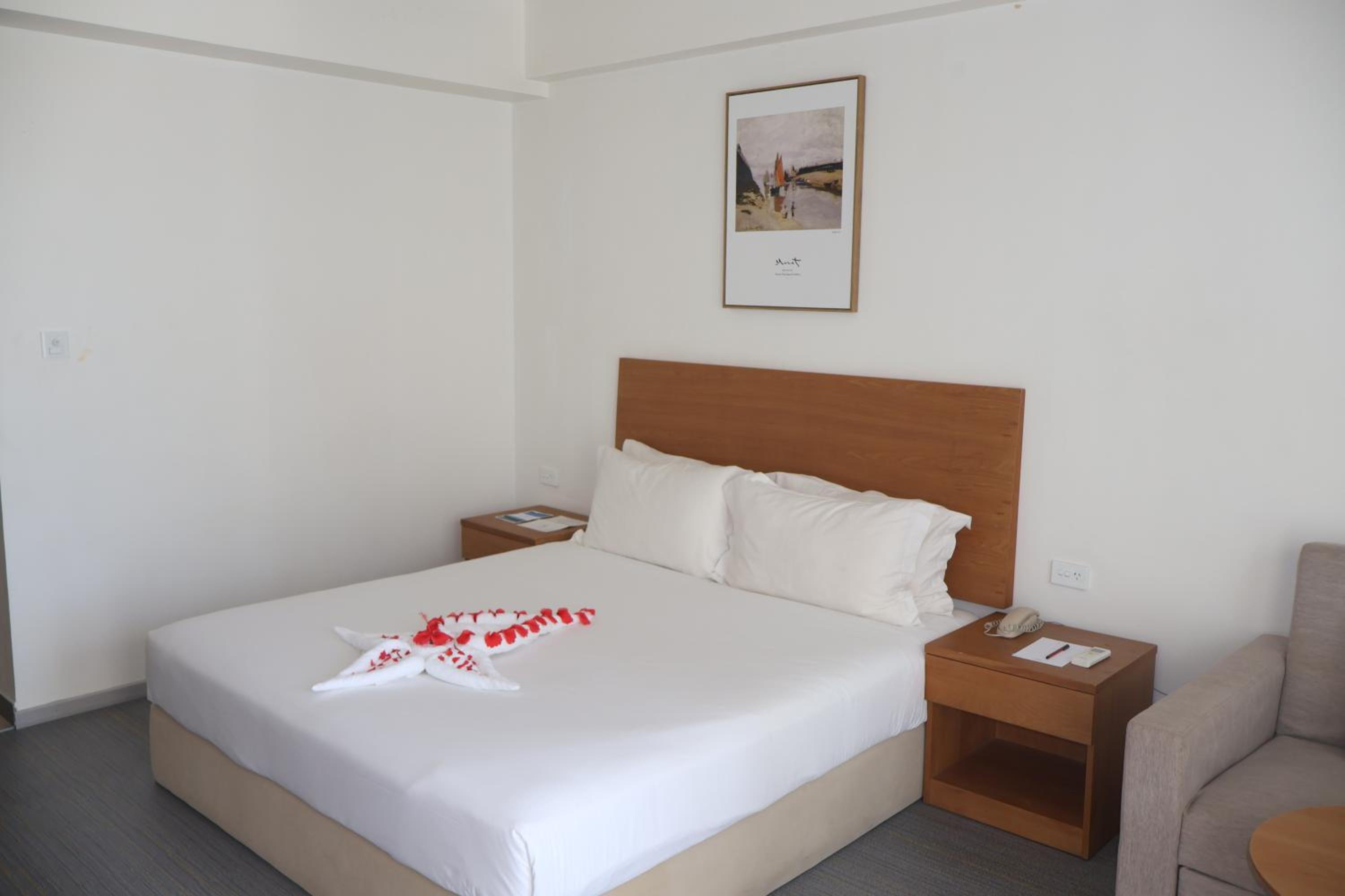 King Room with Mountain View photo 7