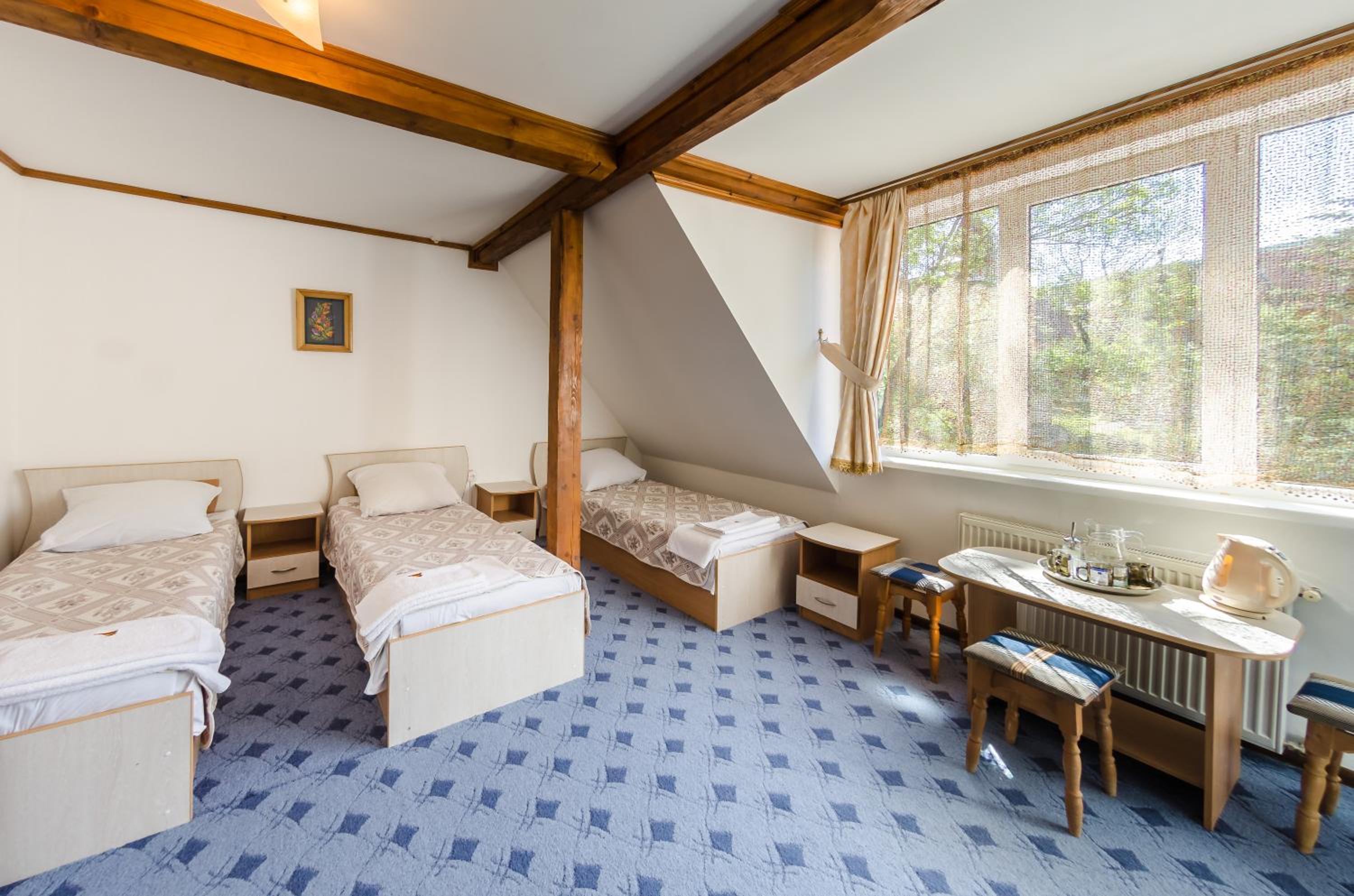 Budget Triple Room photo 1