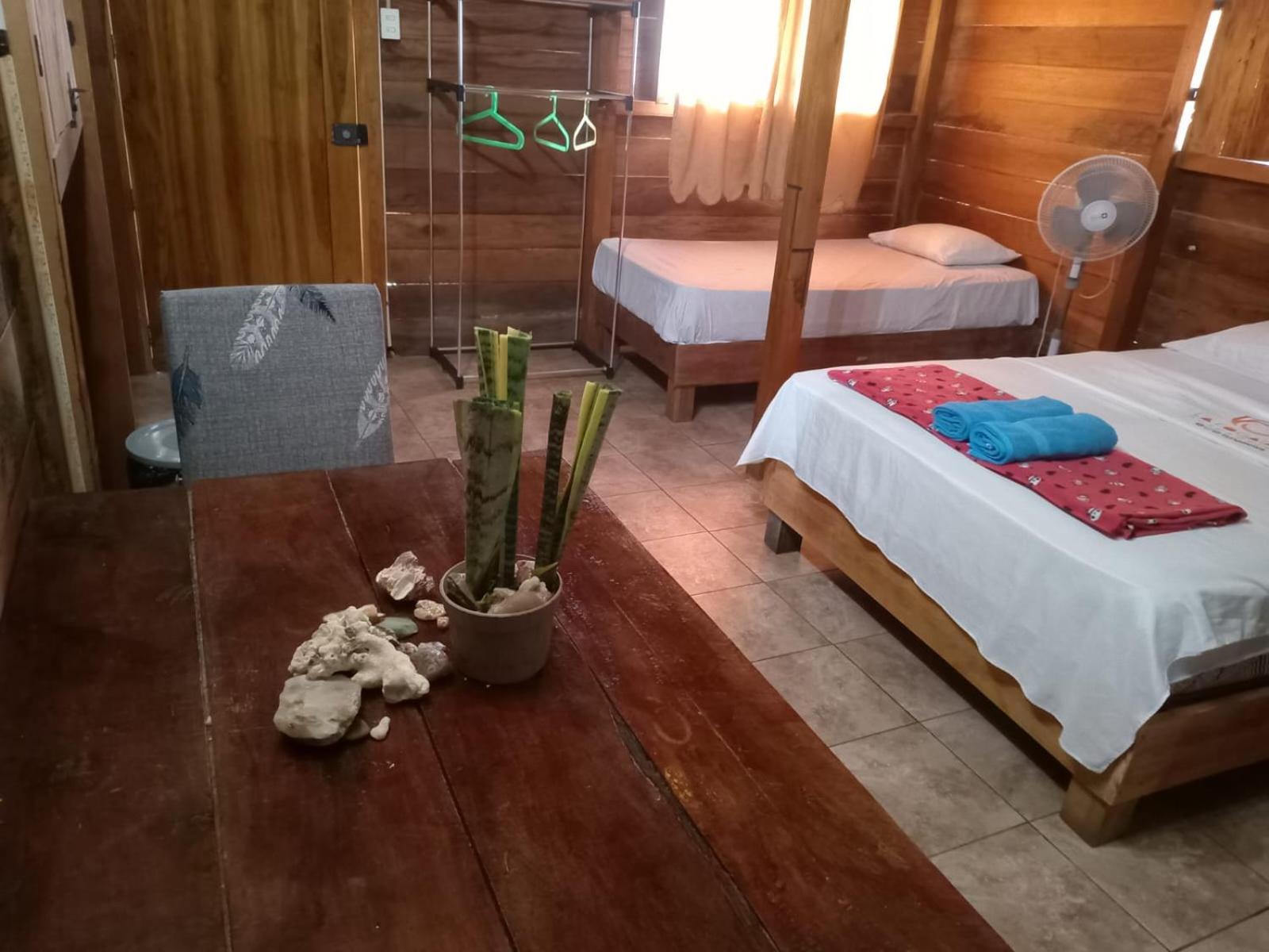 Single Room with Sea View photo 2