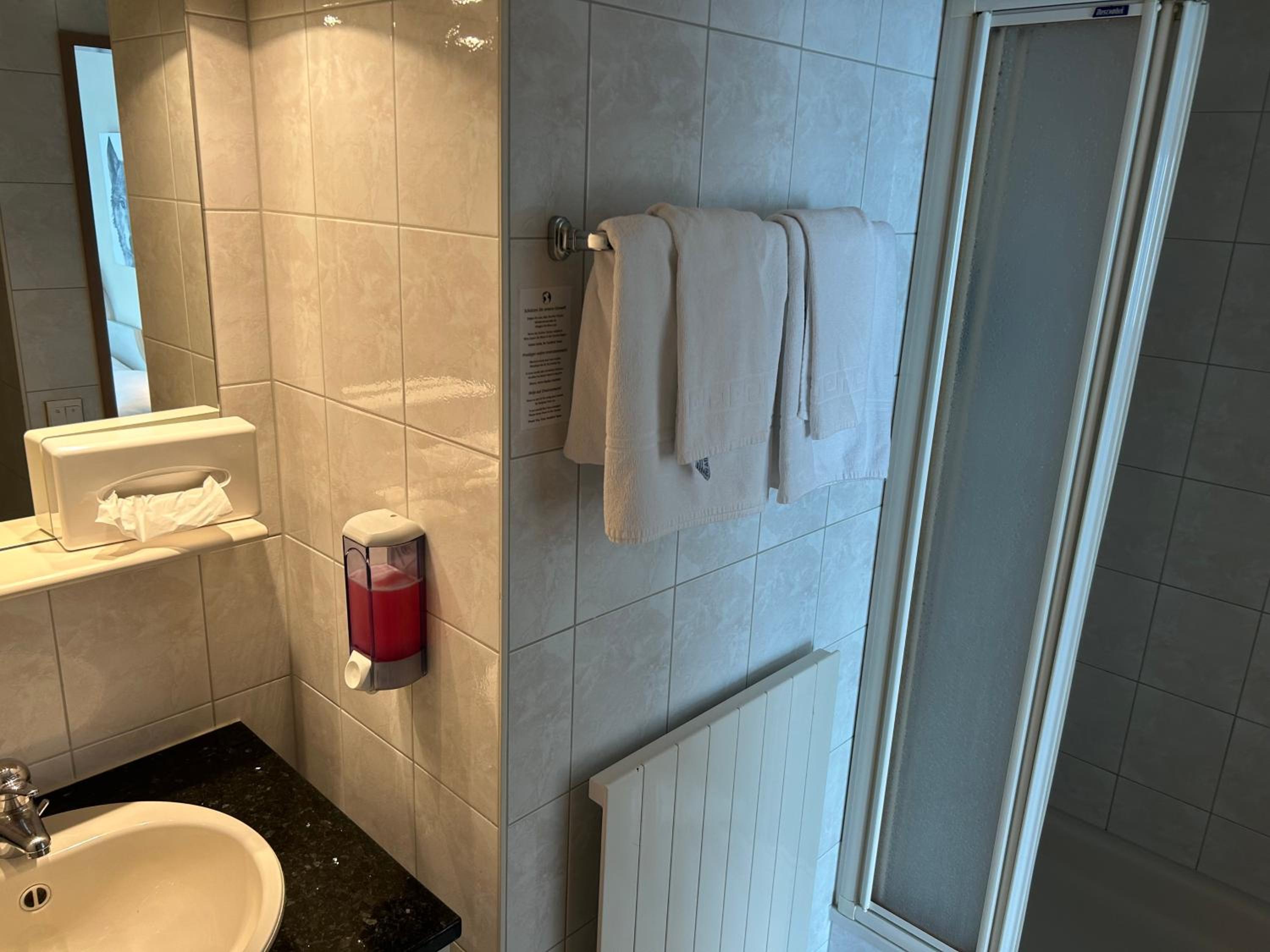 Double Room with Lake View photo 2