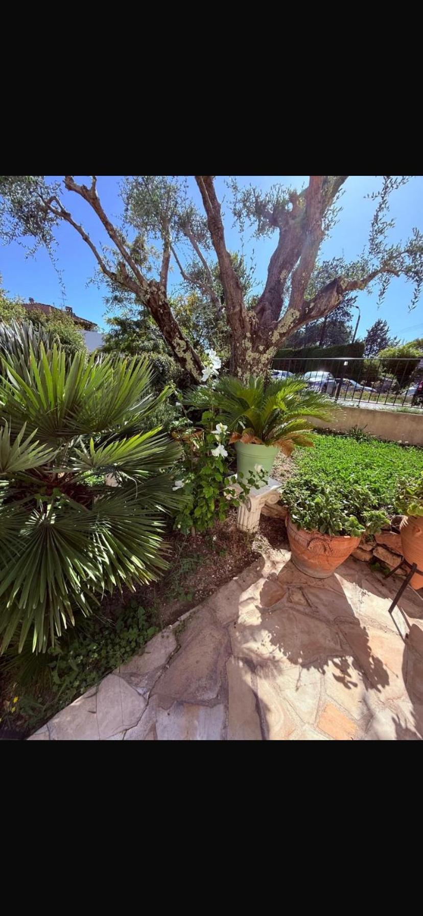 Studio with Garden View