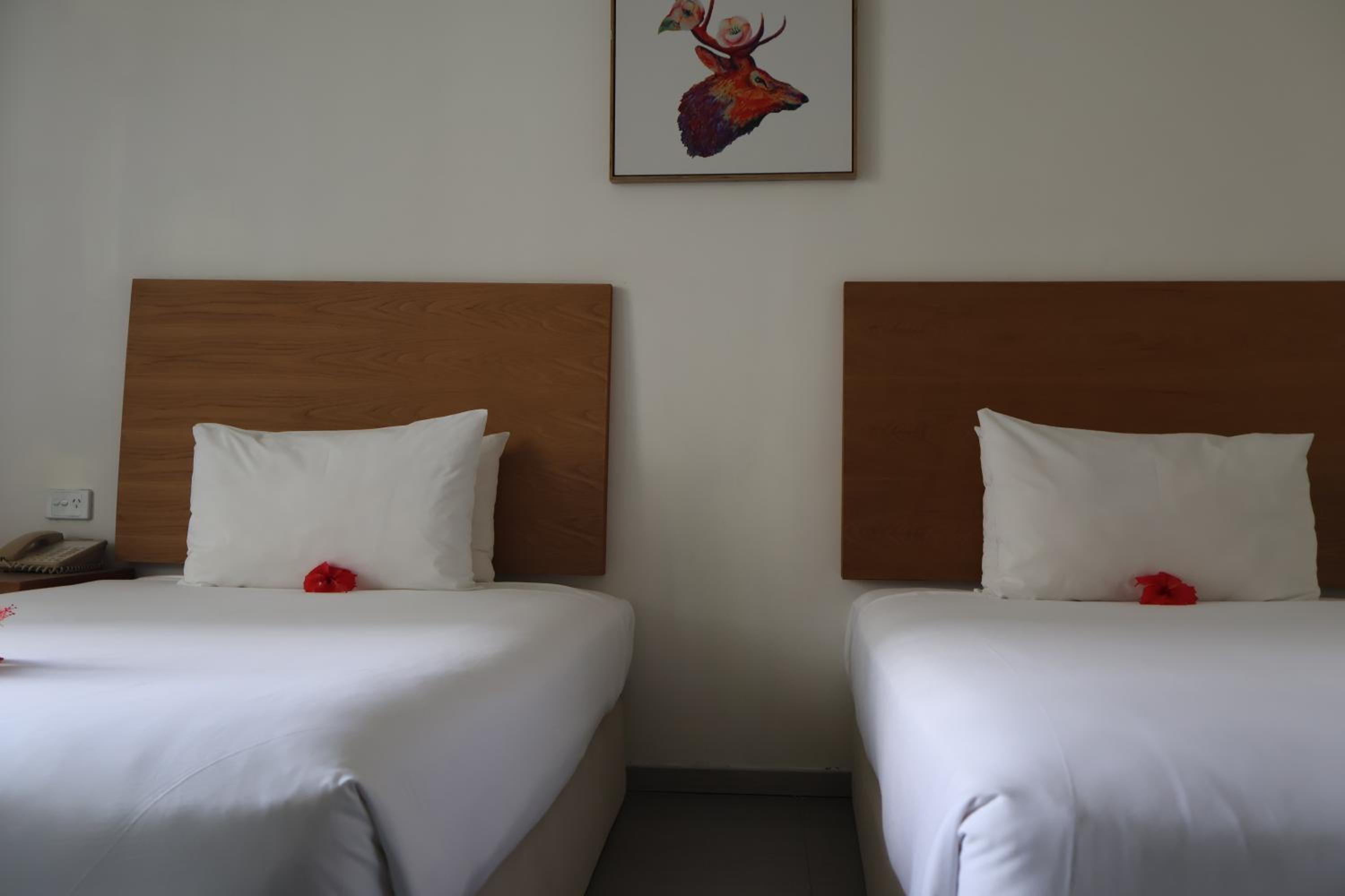 Standard Twin/Single Room photo 6