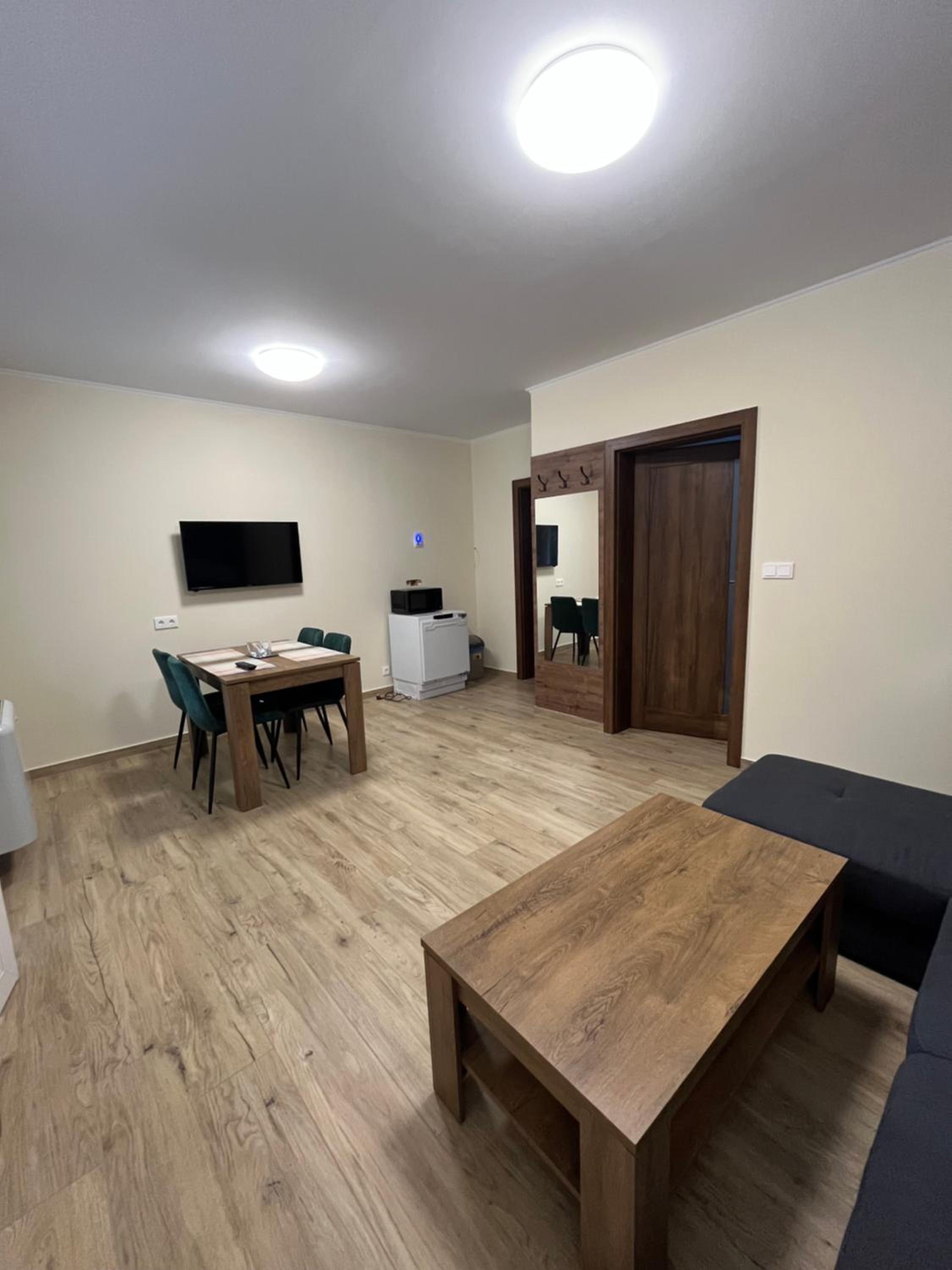One-Bedroom Premium Apartment photo 2