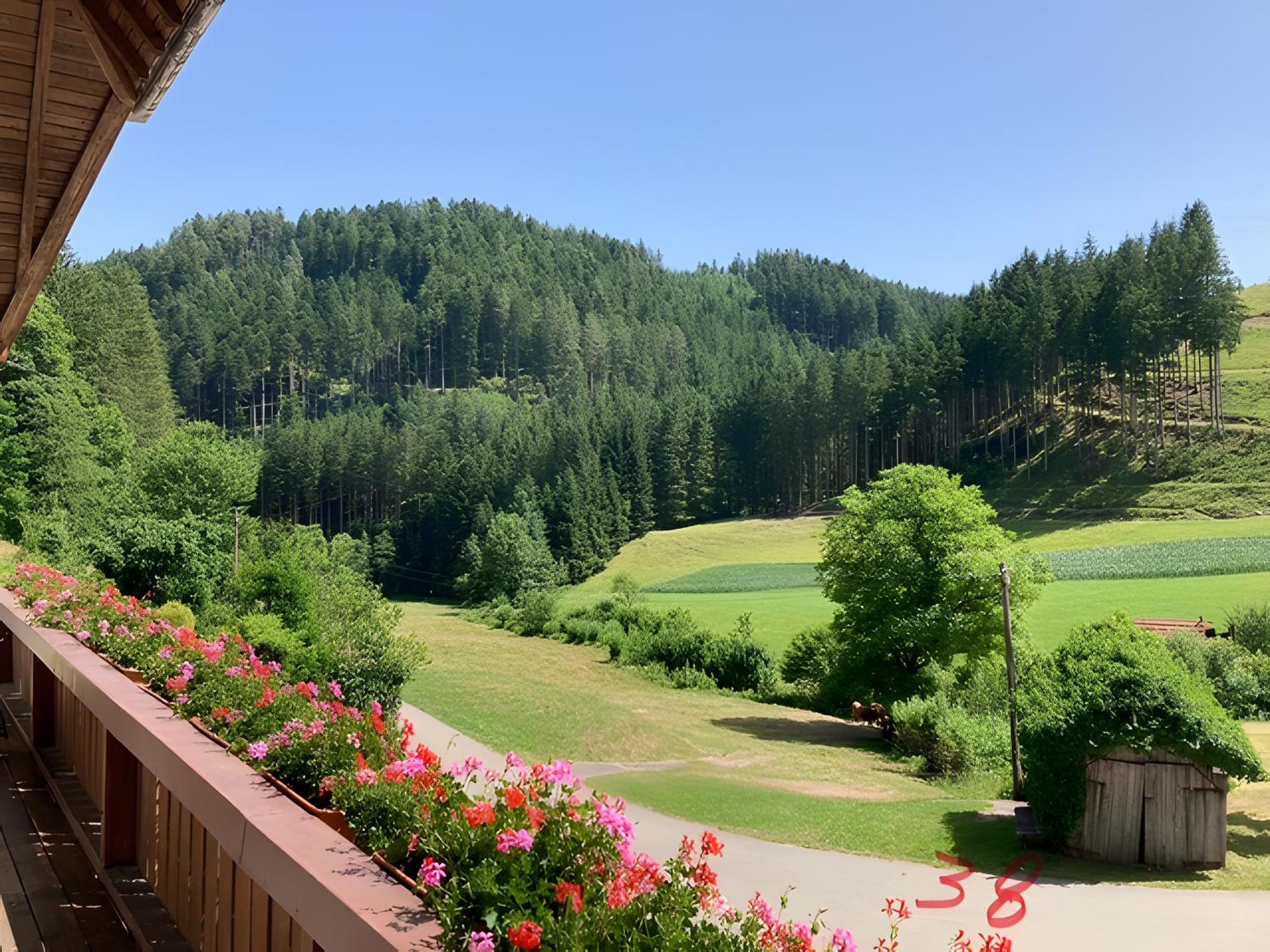 Double Room with Mountain View photo 3