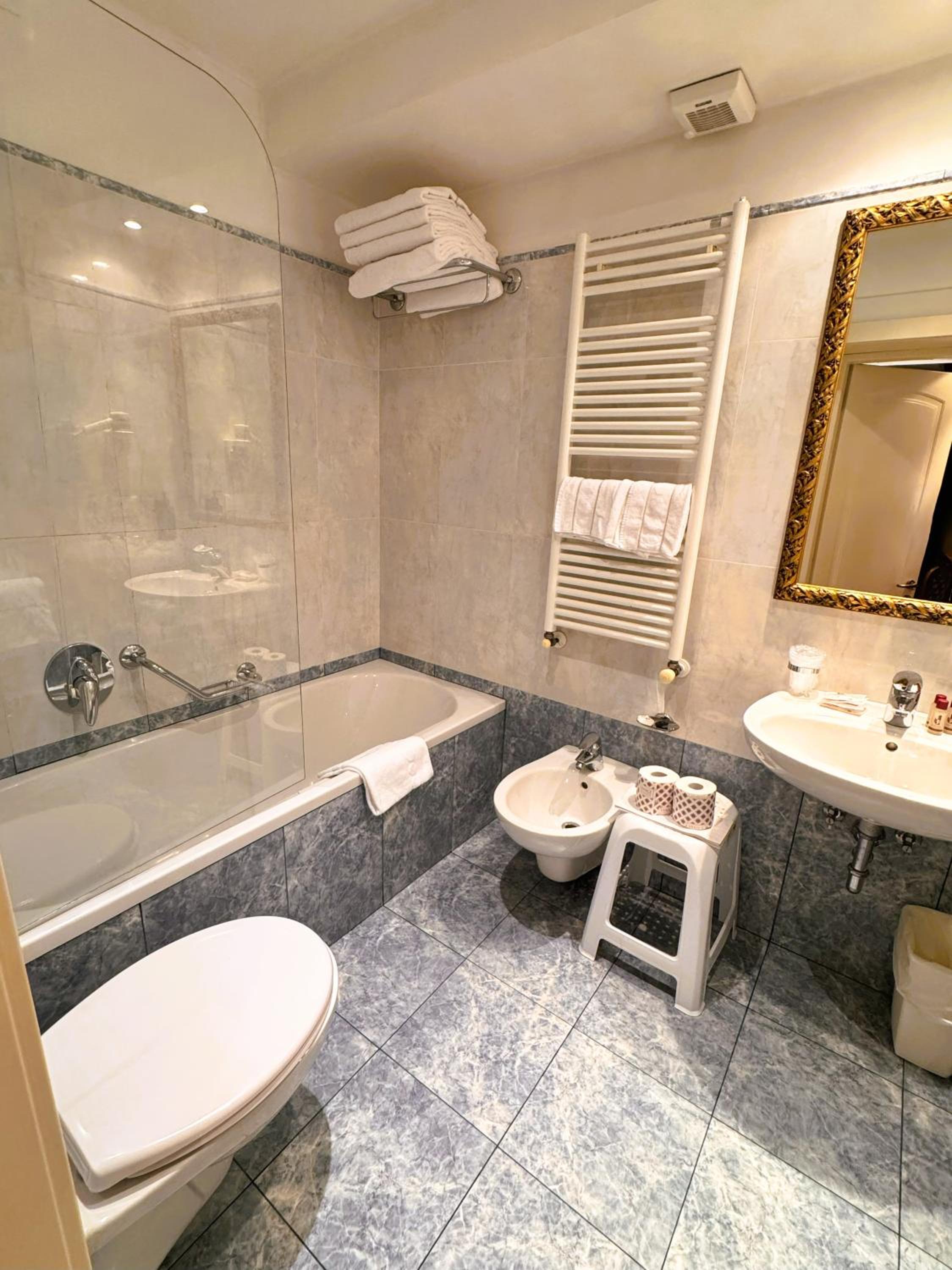 Superior Double or Twin Room