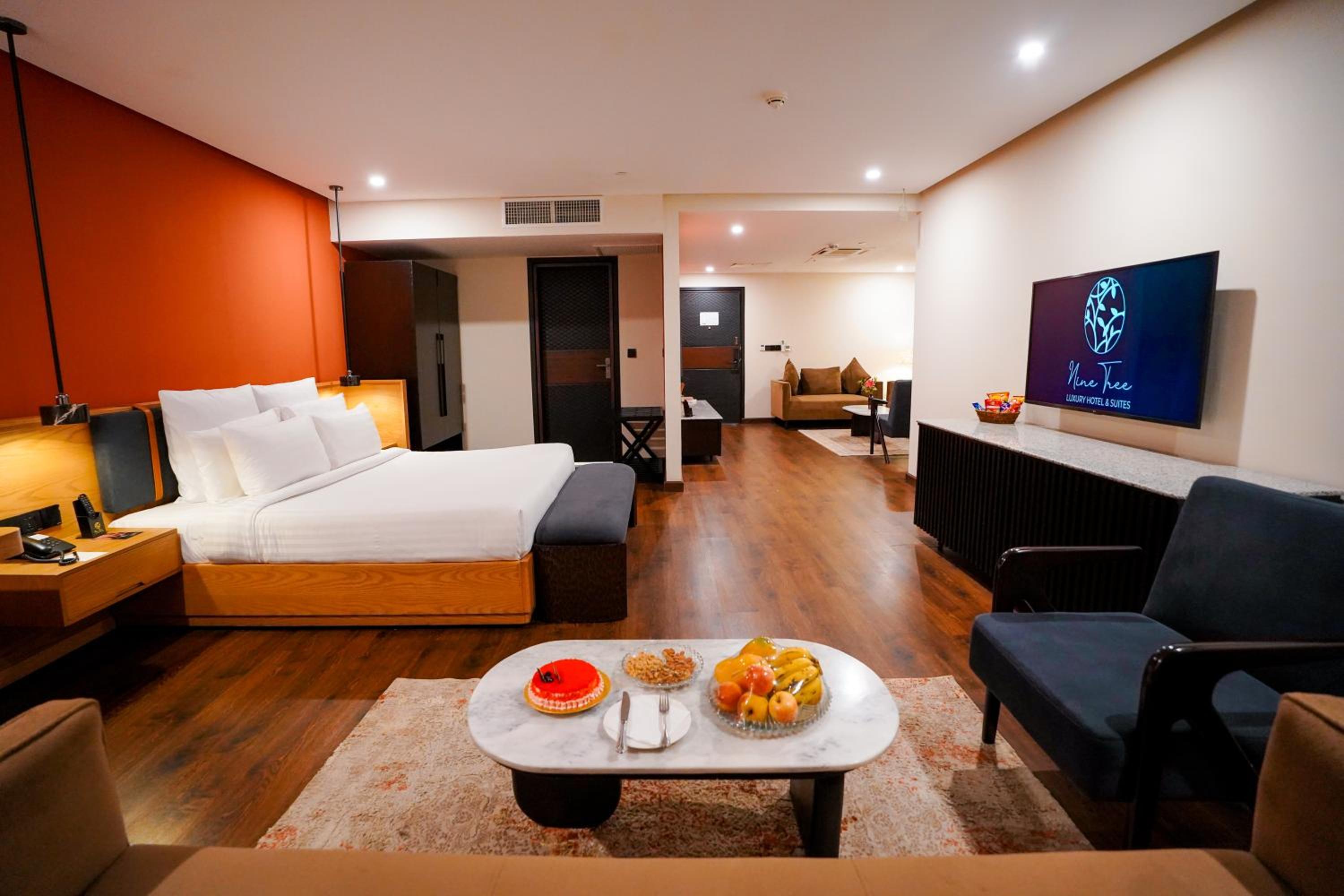 Deluxe Suite - Photo 9
