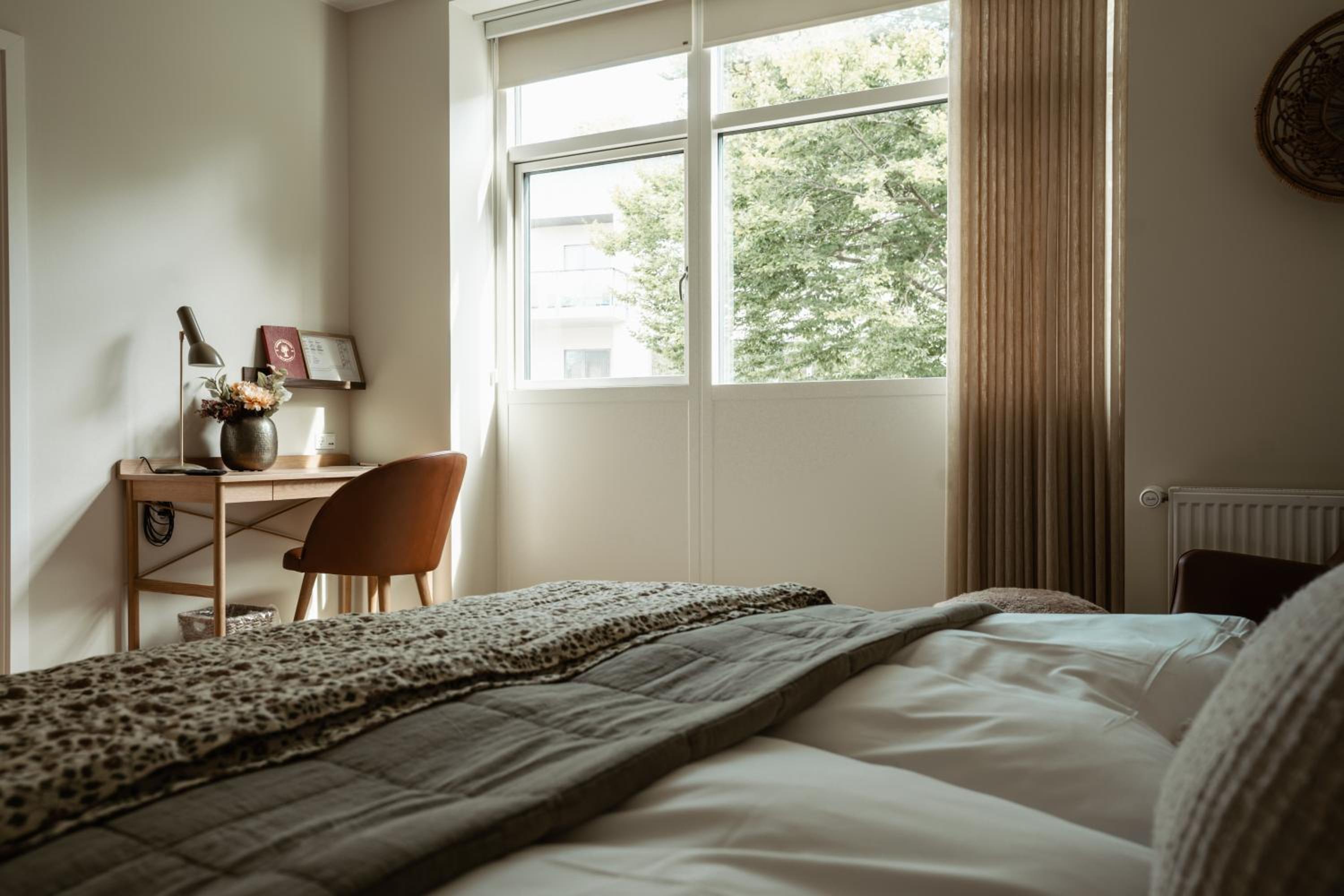 Large Double Room - Photo 6