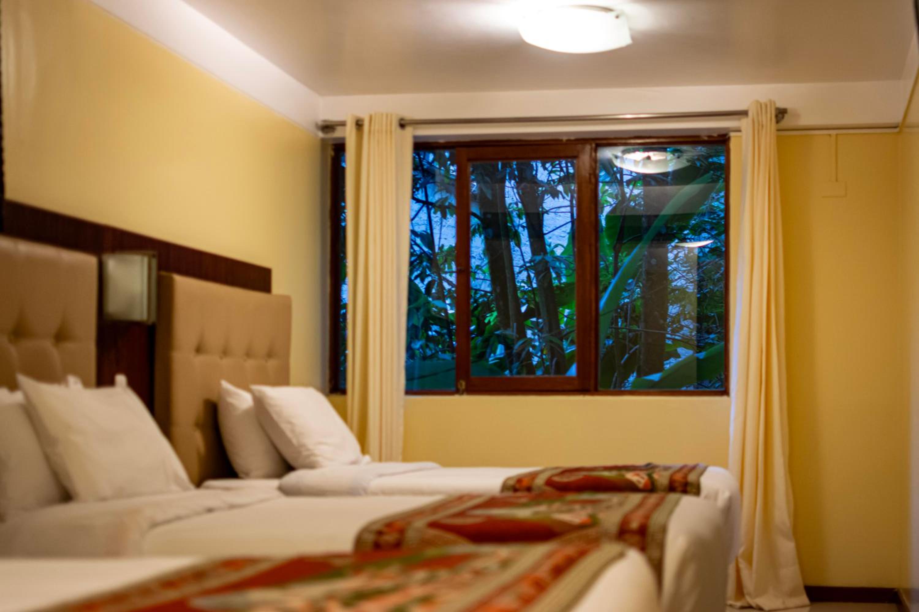 Comfort Quadruple Room photo 1