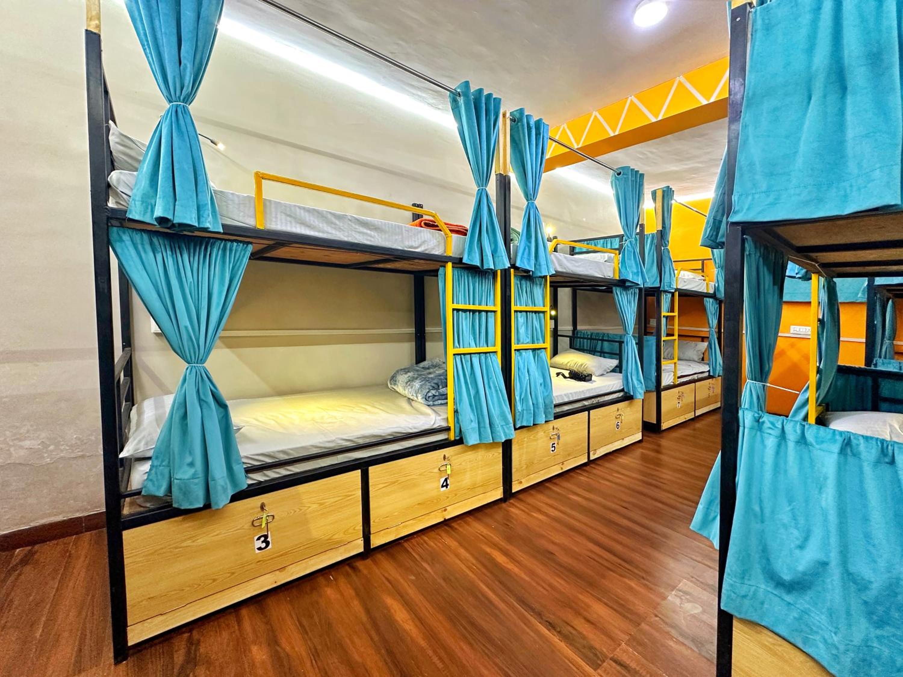 Bunk Bed in Mixed Dormitory Room
