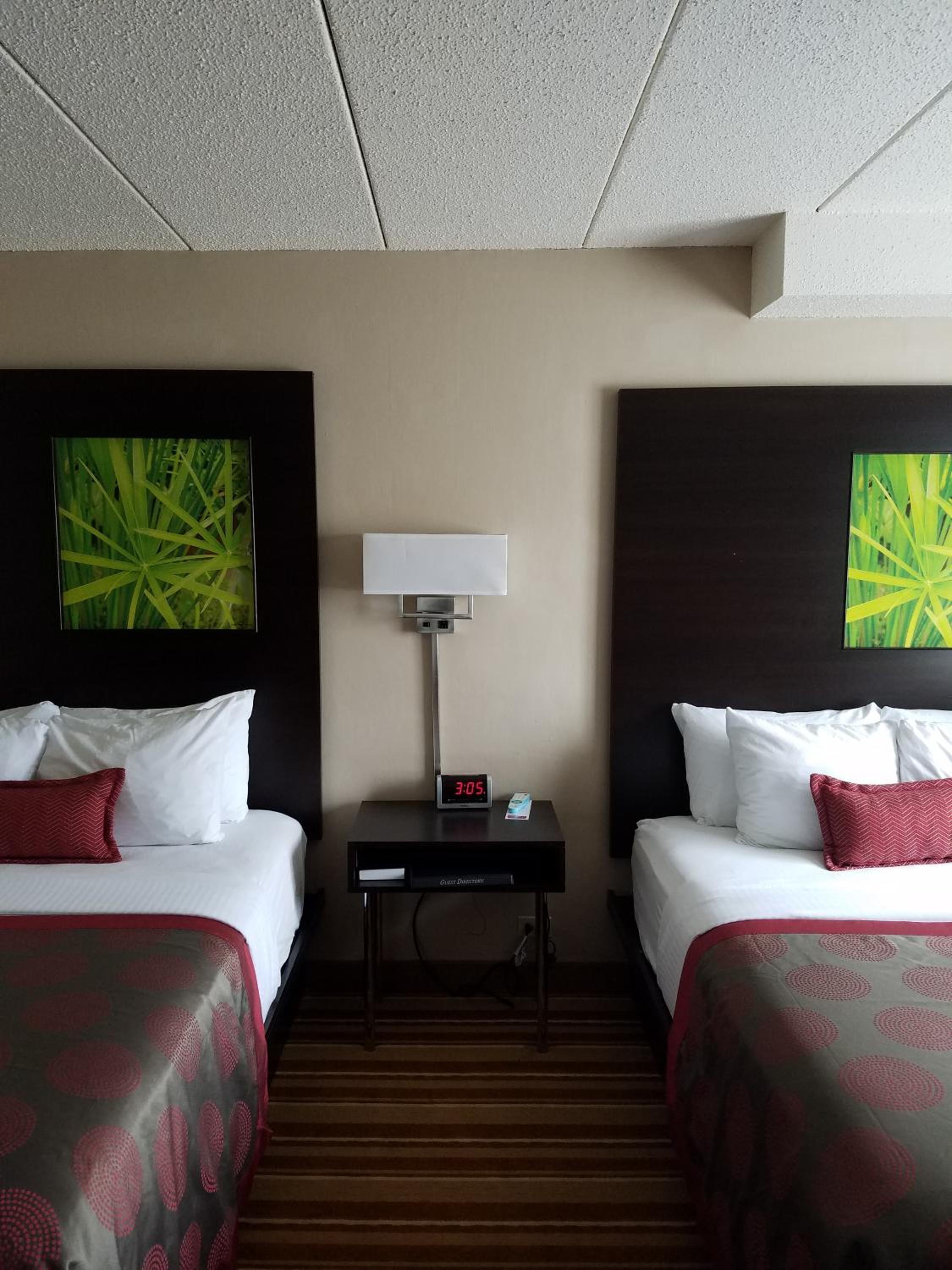 Queen Room with Two Queen Beds - Non-Smoking - Photo 7
