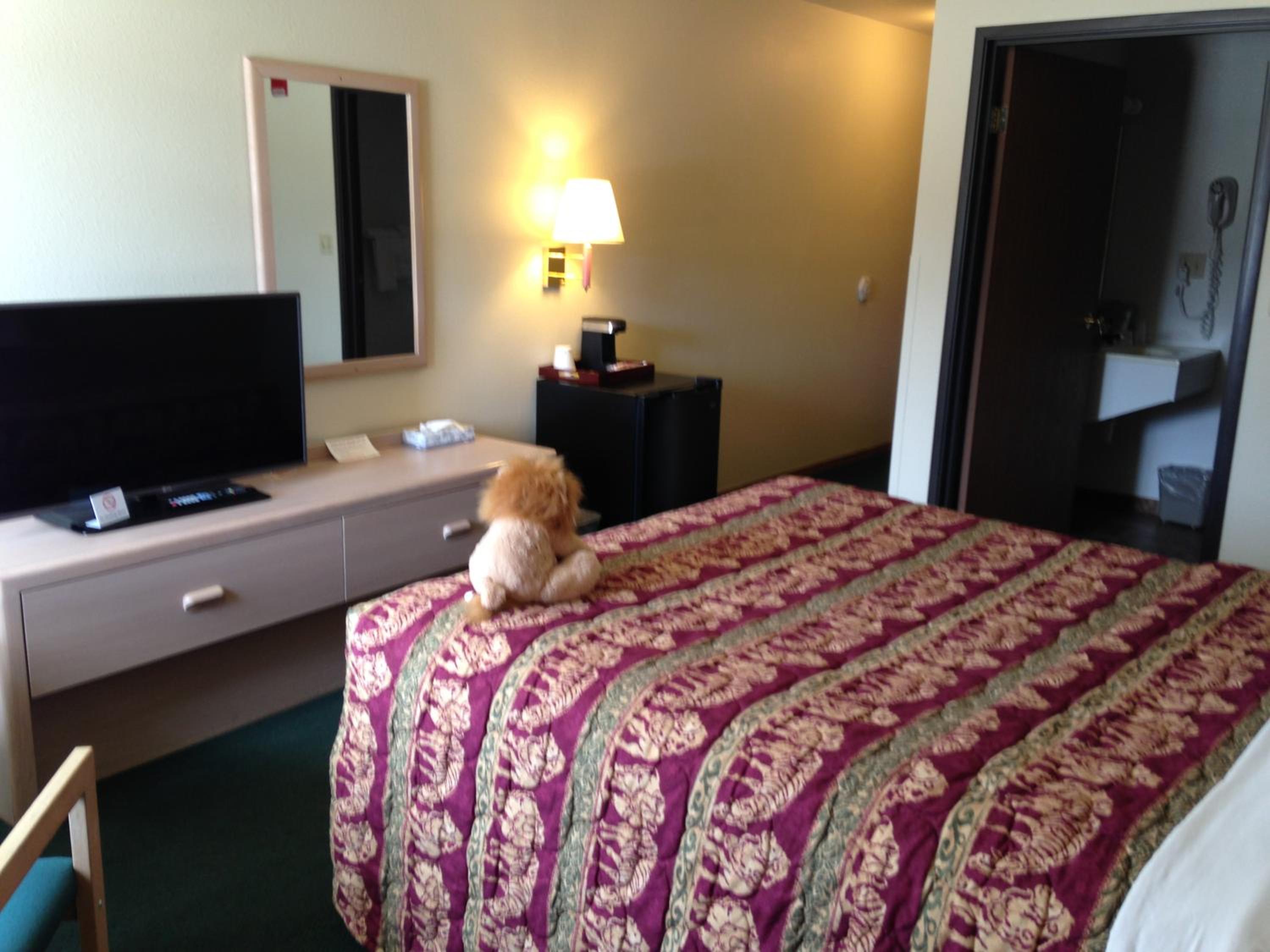 Single Room- Disability Access - Photo 1