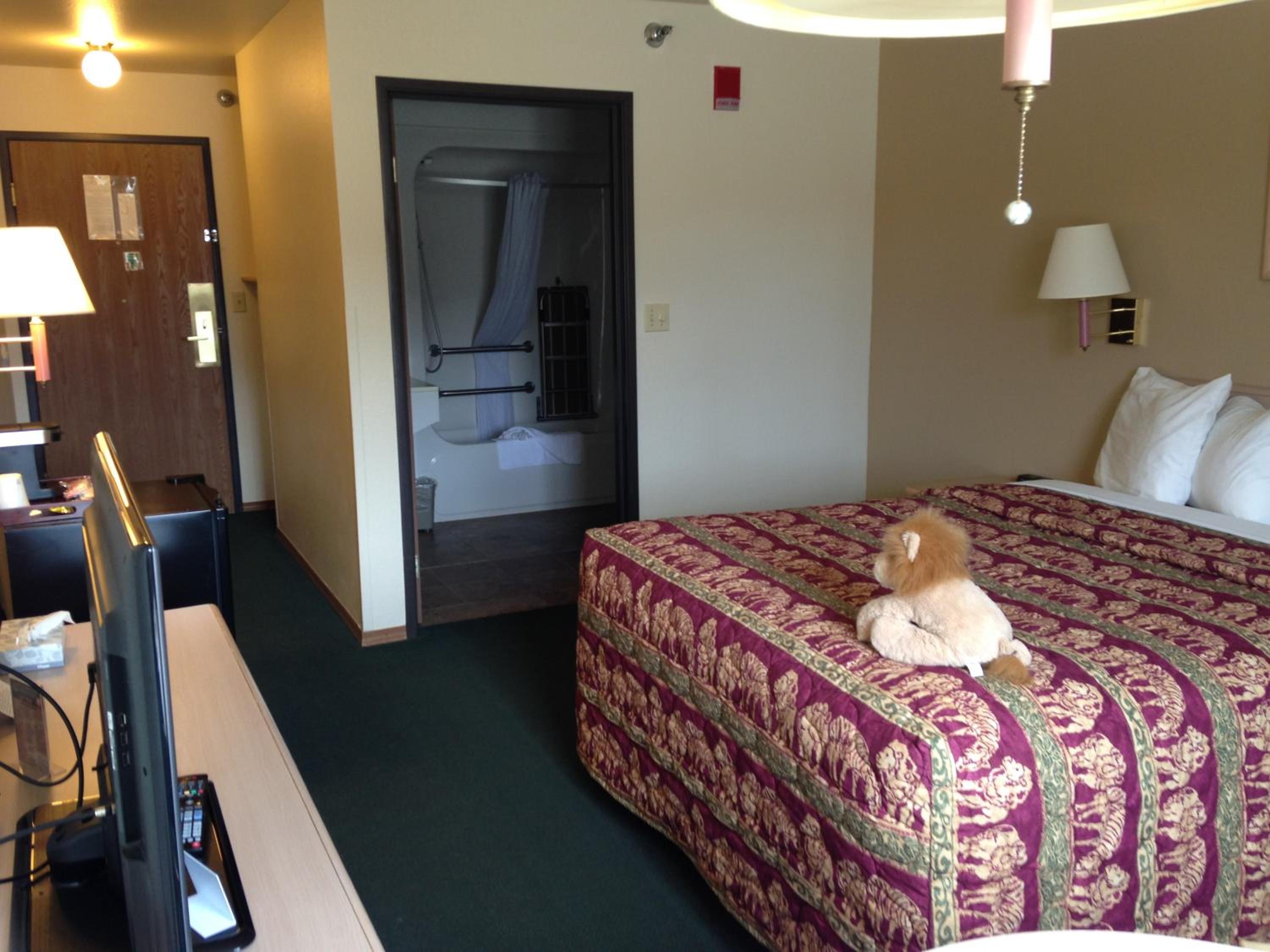 Single Room- Disability Access - Photo 2