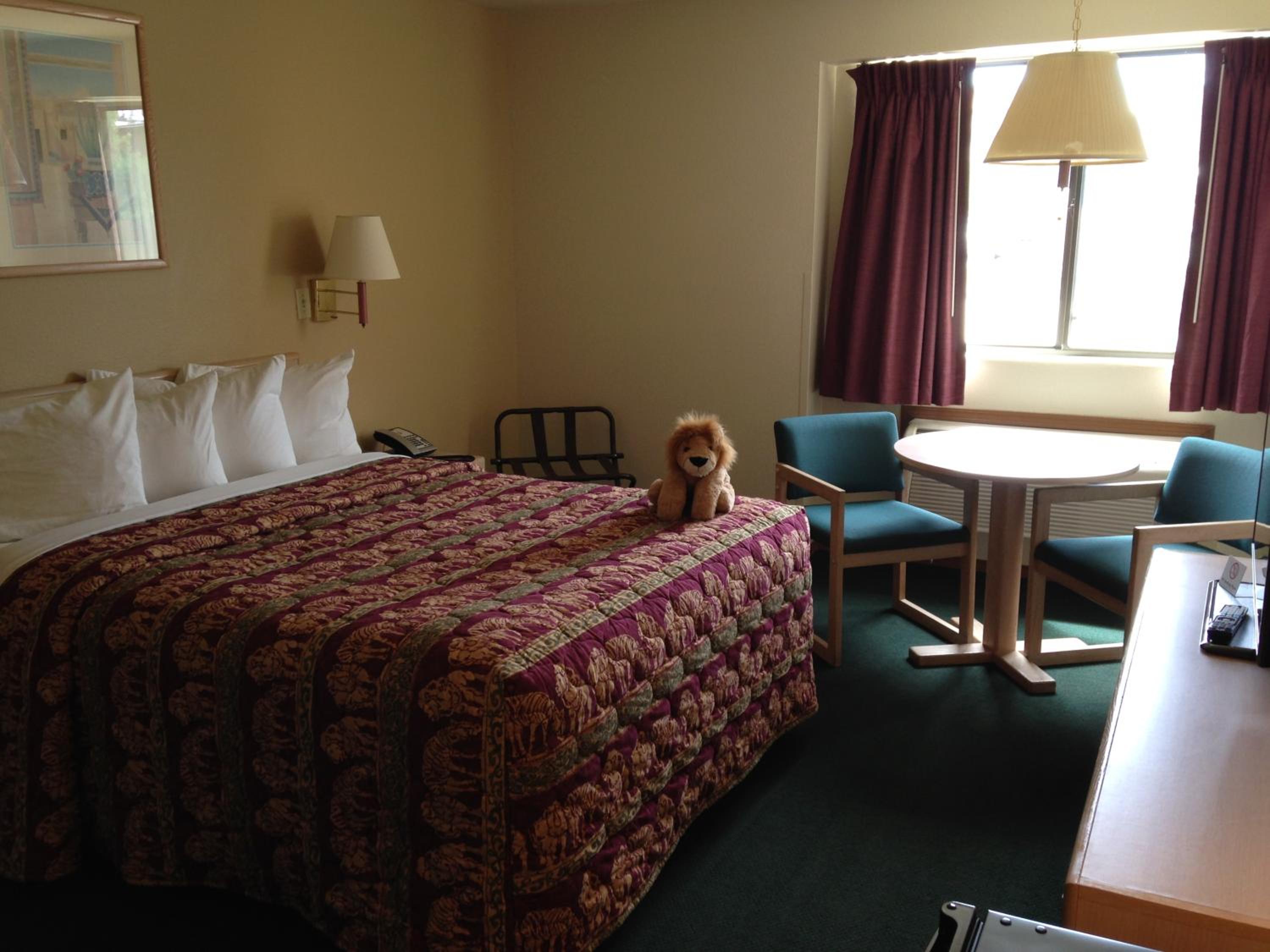Single Room- Disability Access - Photo 5