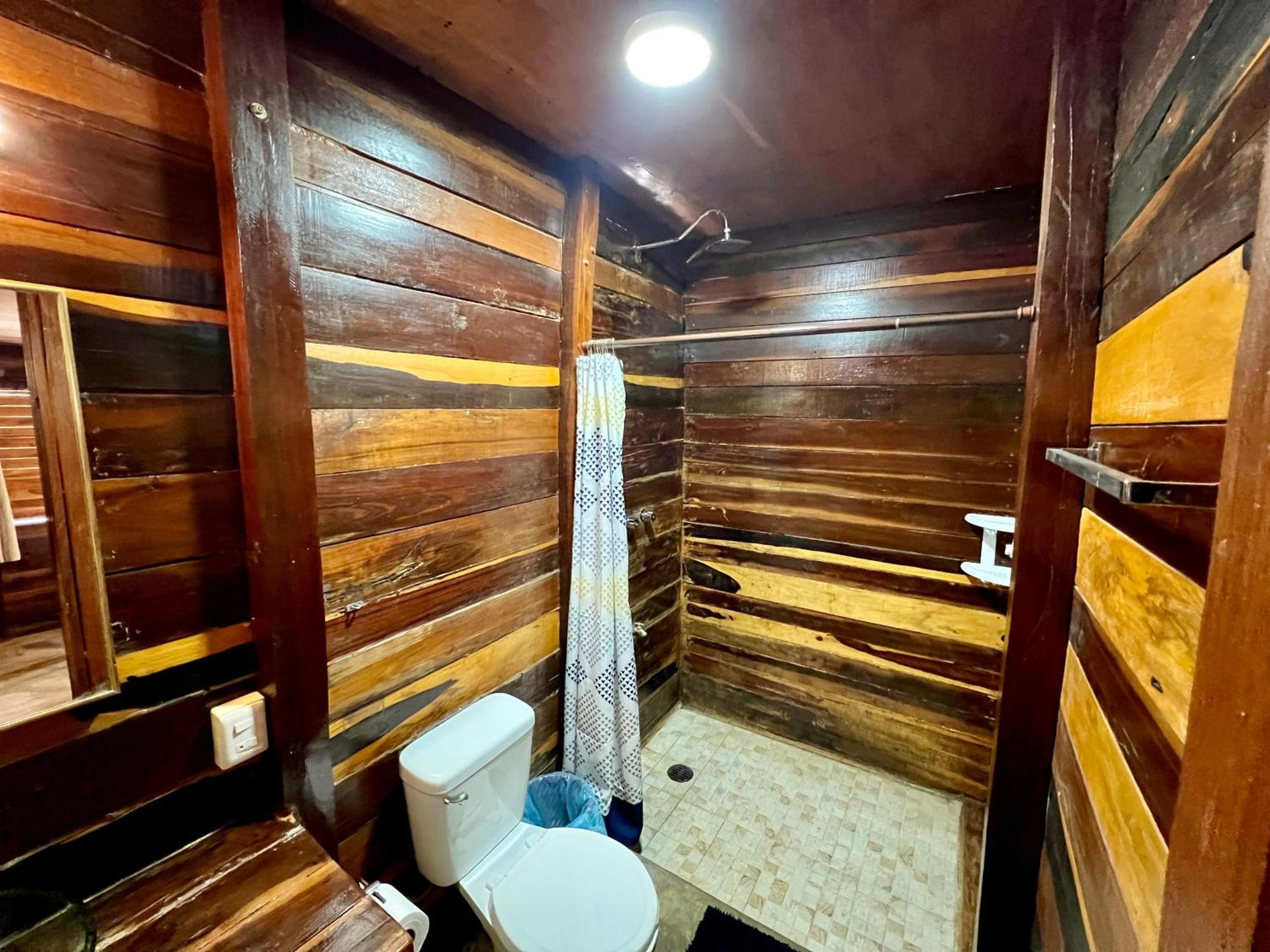 King Room photo 3
