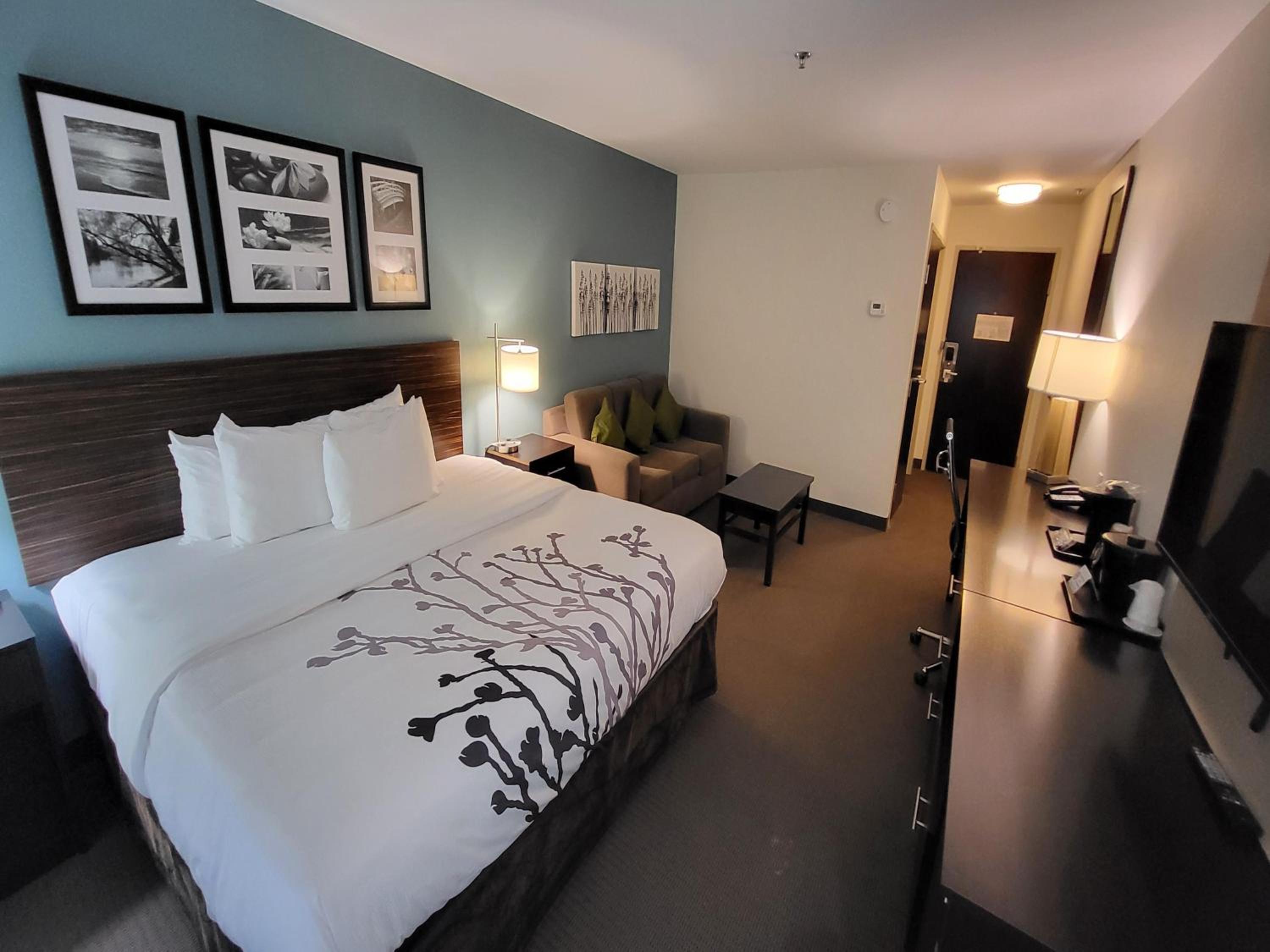 King Suite - Accessible/Non-Smoking