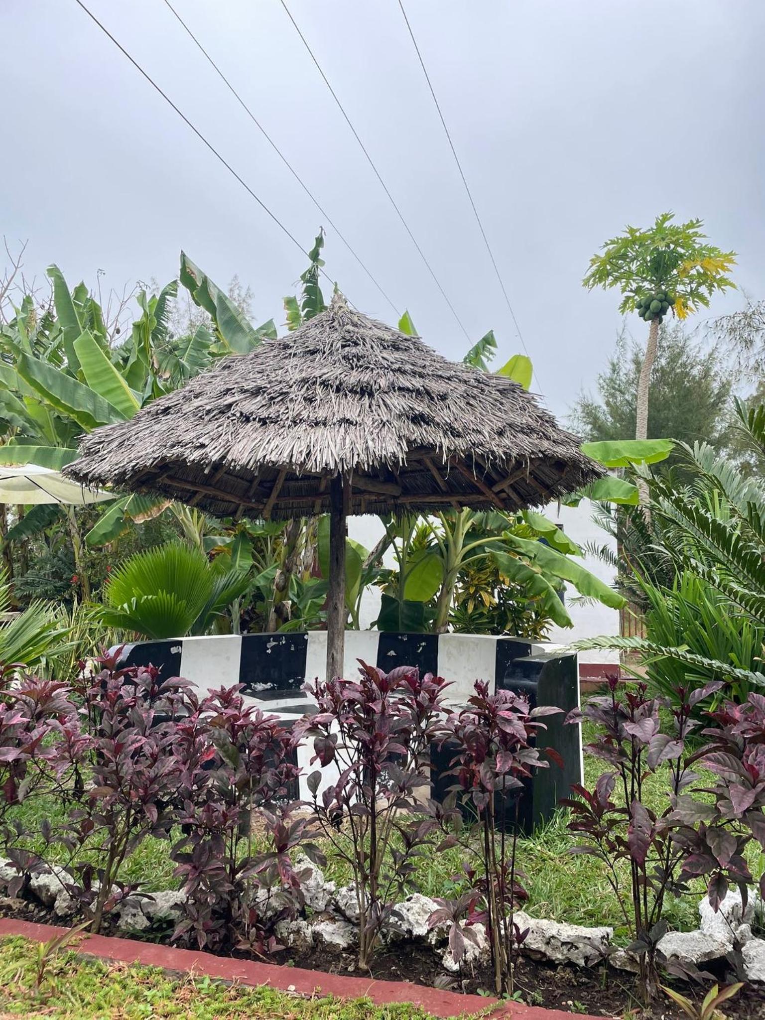 Budget Single Room