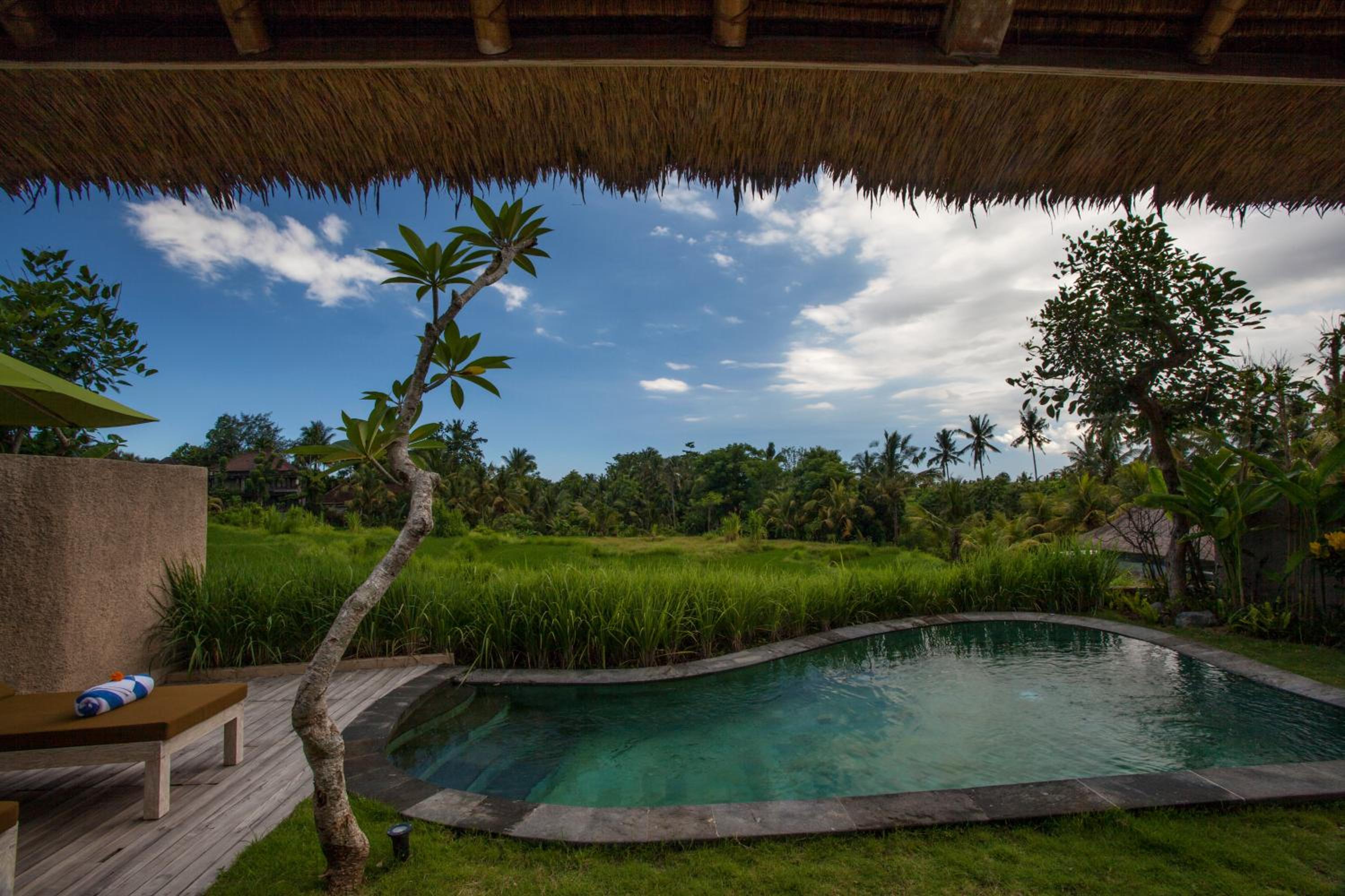  2-Bedroom Rice Terrace Pool Villa photo 2