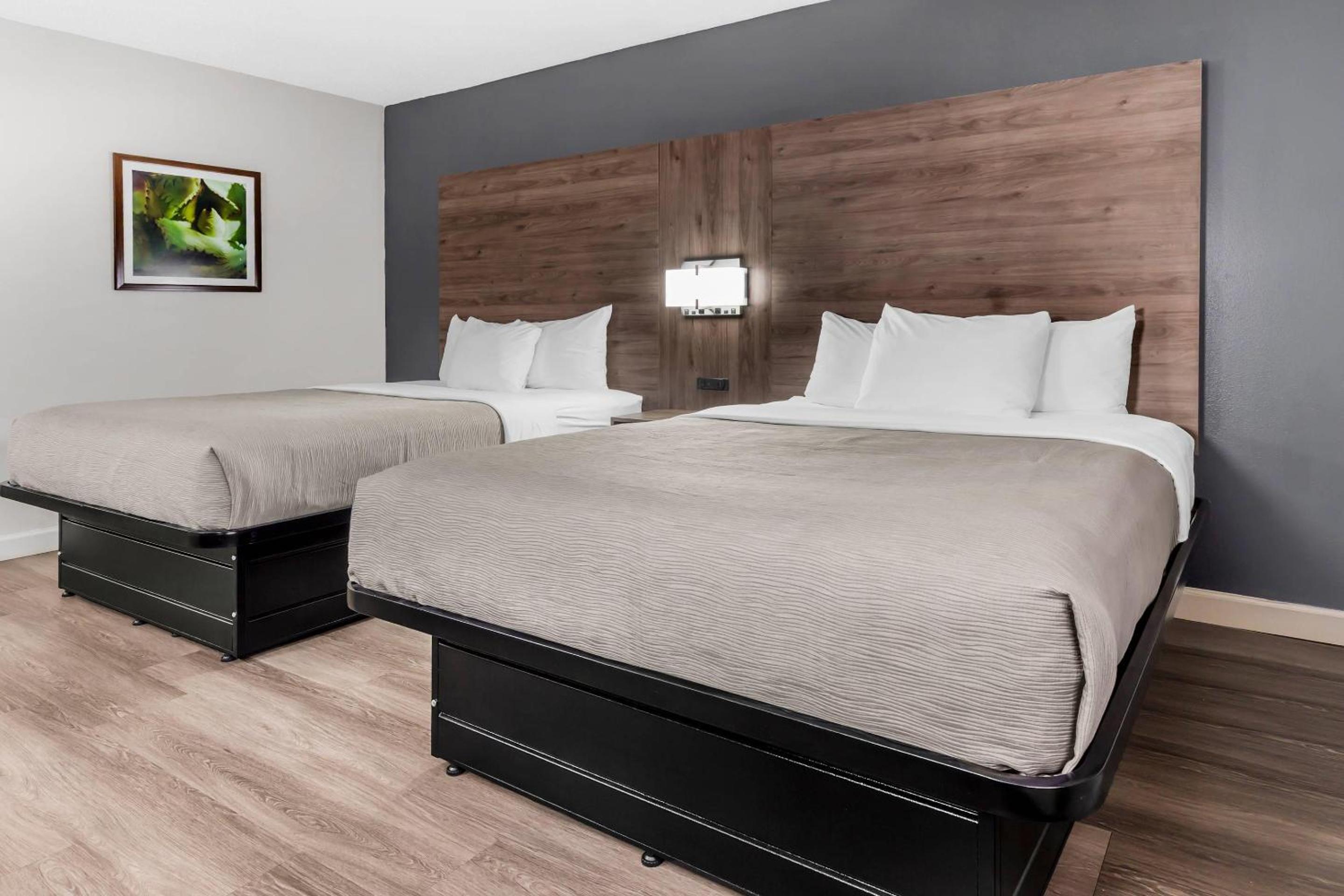 Queen Room with Two Queen Beds - Non Smoking - Photo 4