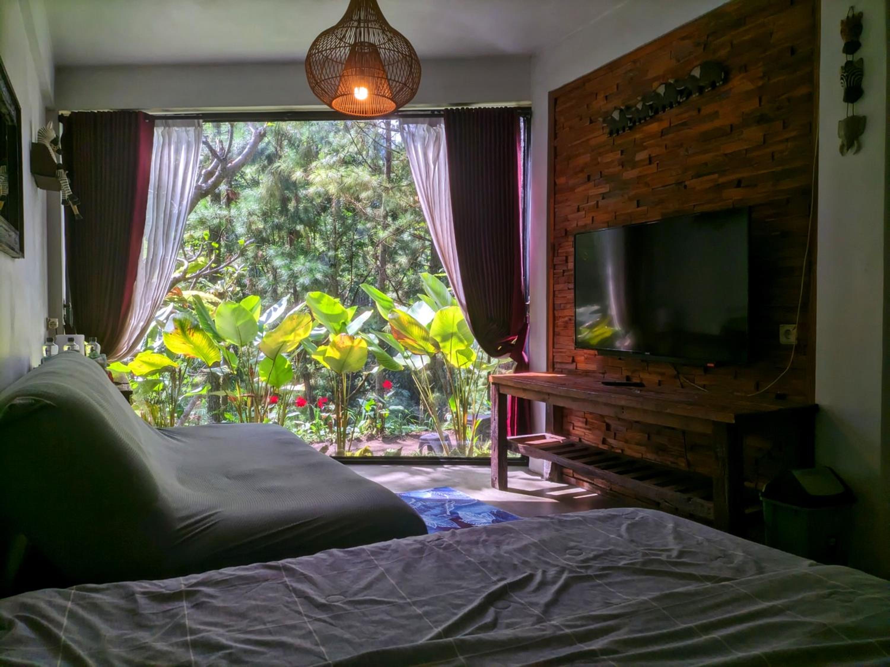 Superior Double Room photo 3