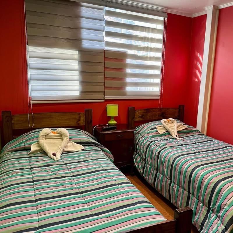 Twin Room photo 1