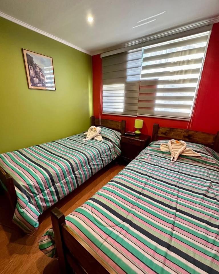 Twin Room photo 2