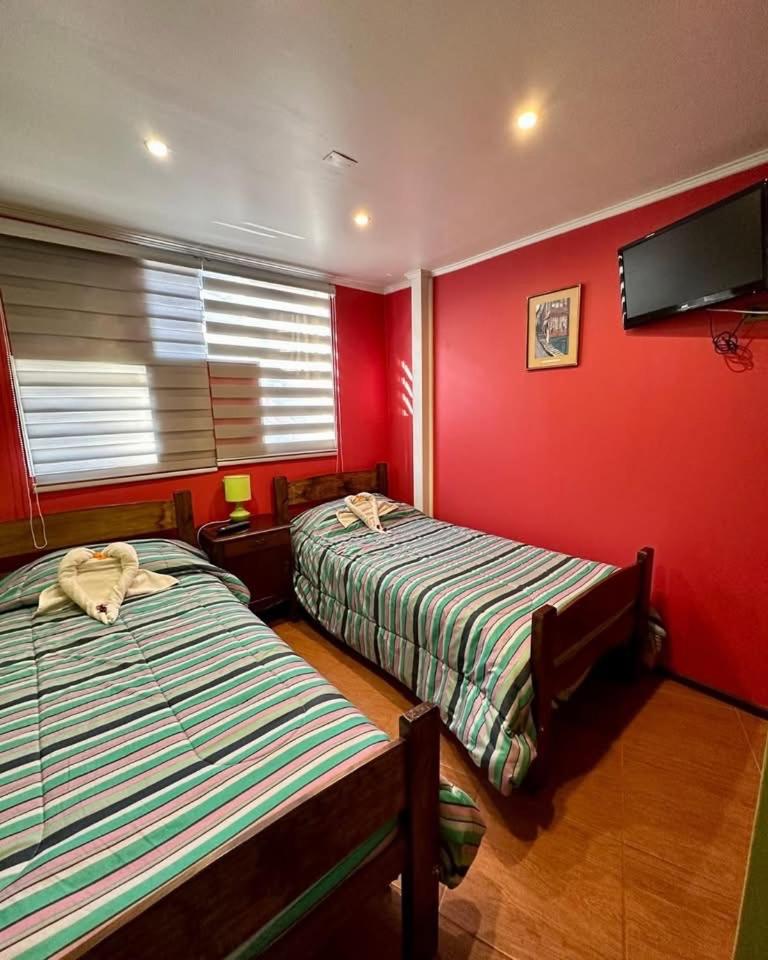 Twin Room photo 3