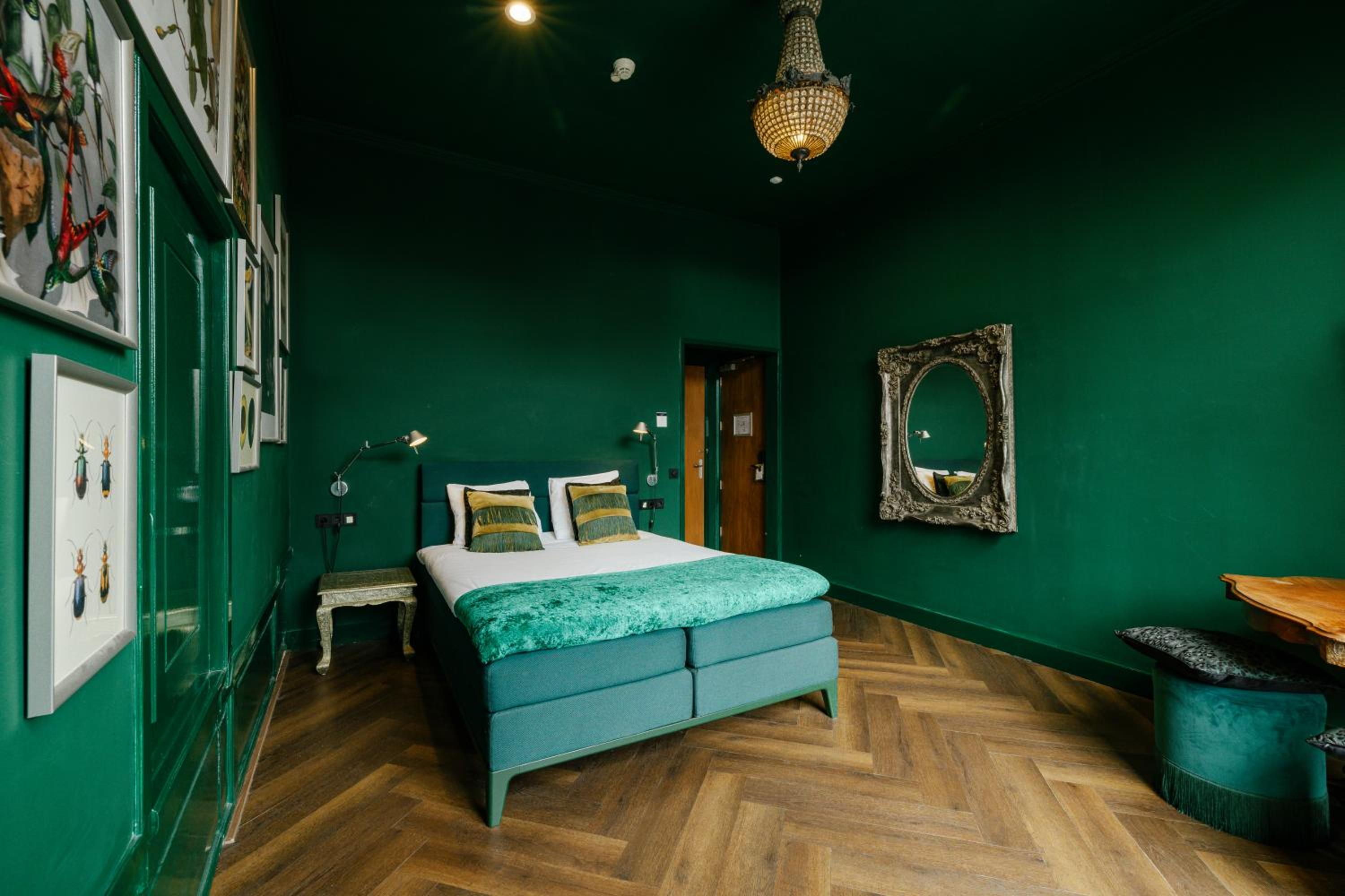 Cozy Room photo 2