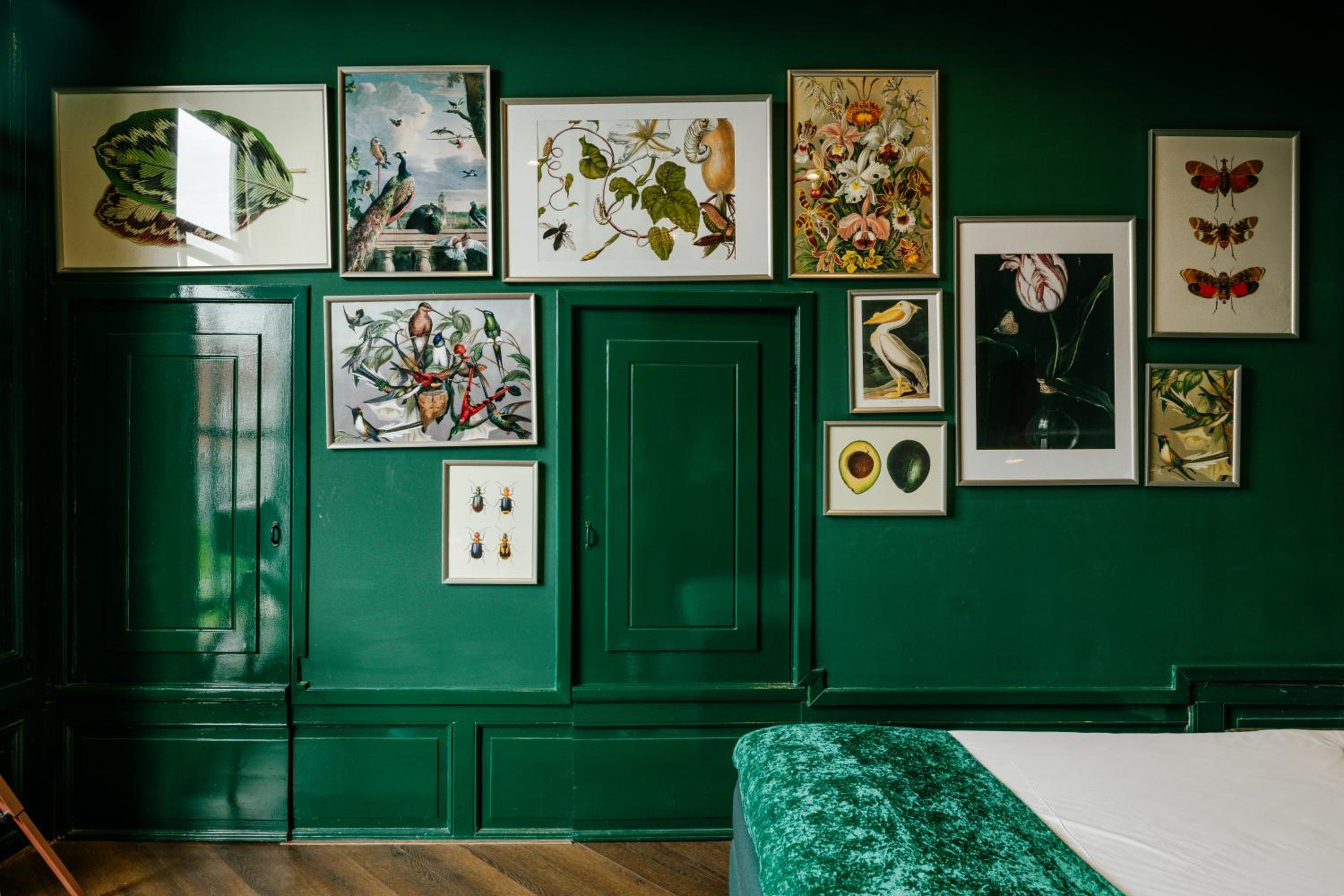 Cozy Room photo 1