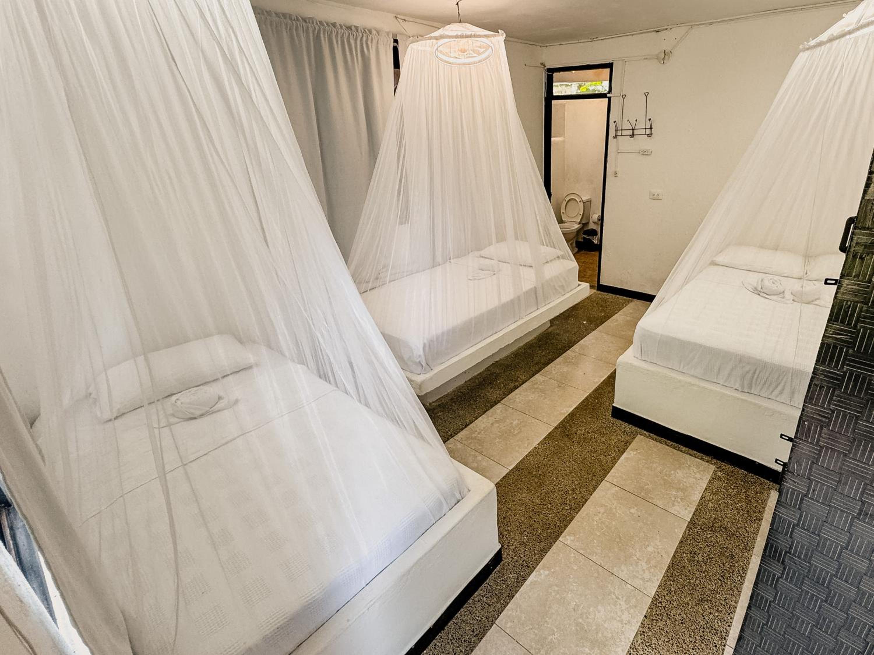 Triple Room with Private Bathroom photo 1