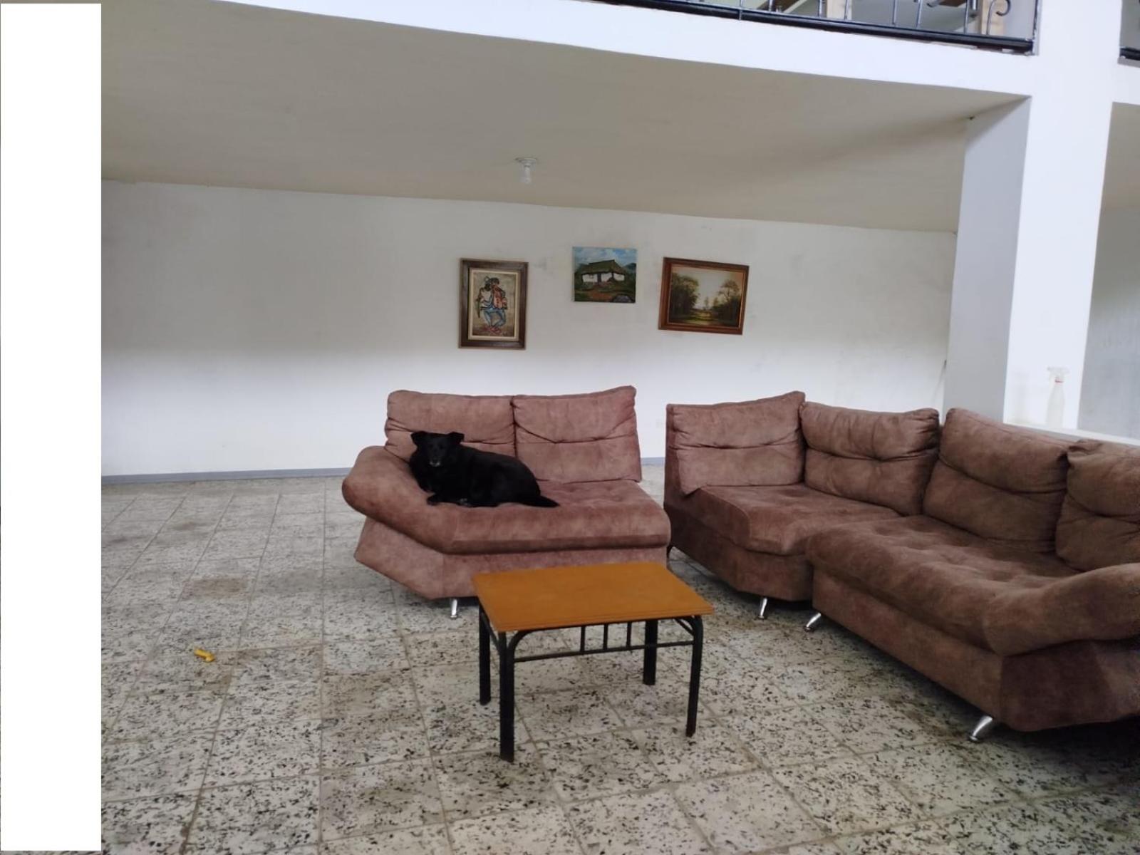 Apartment - Split Level photo 2