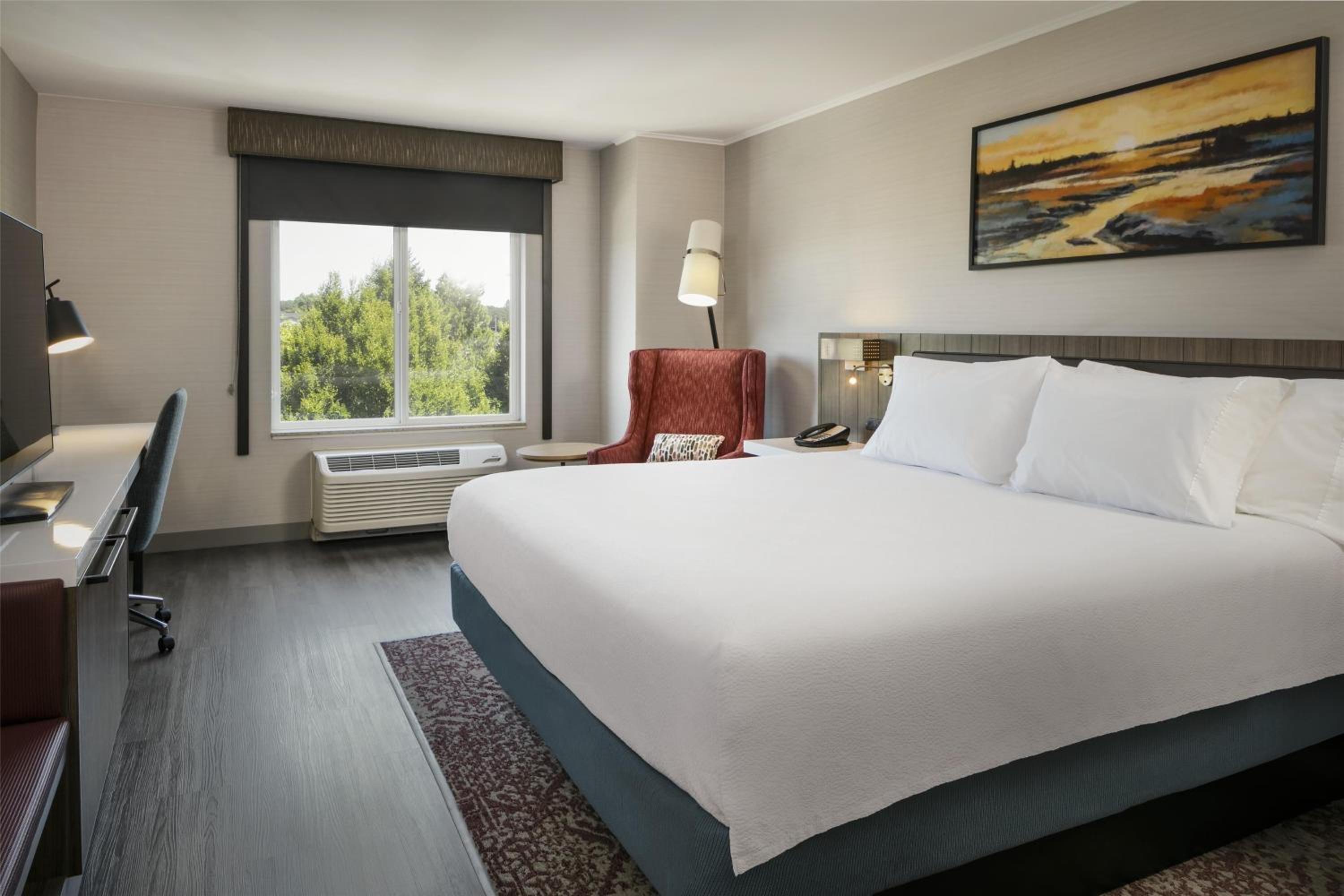 King Room - Photo 4