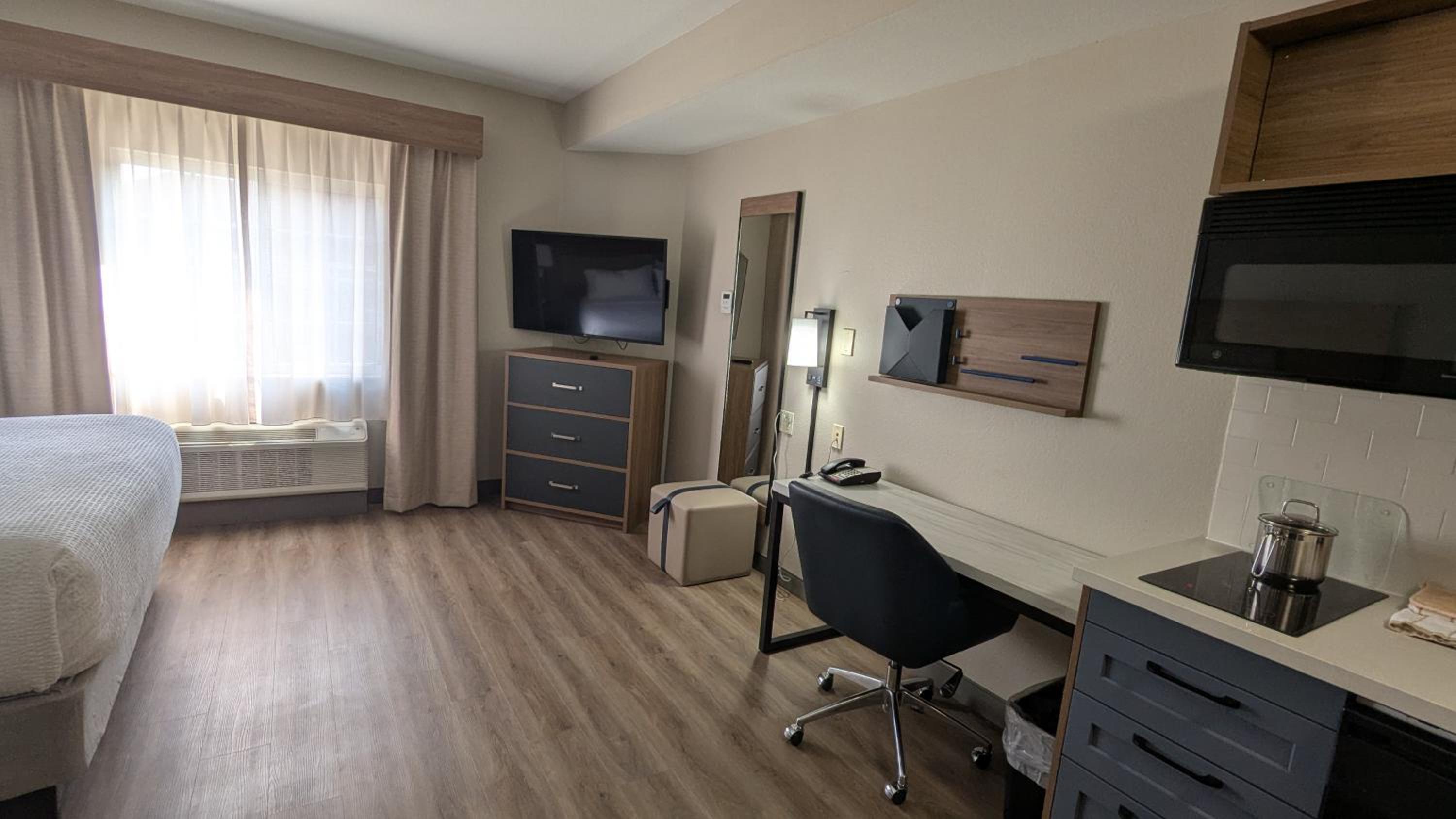 Studio Suite - Photo 4