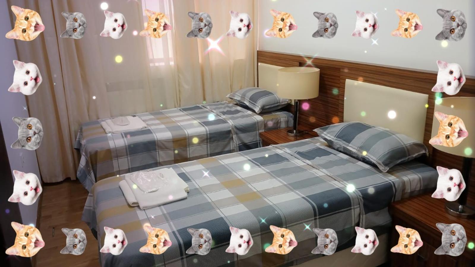 Twin Room with Private Bathroom photo 2