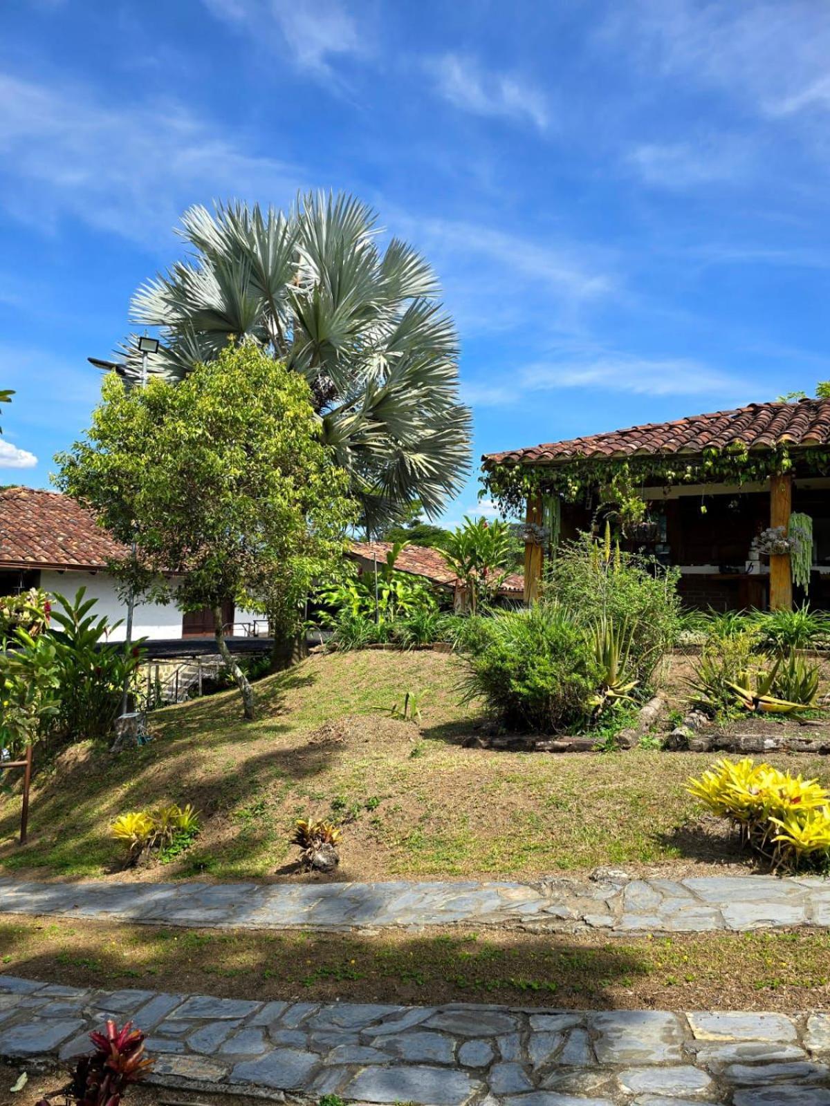 Eight-Bedroom House photo 2