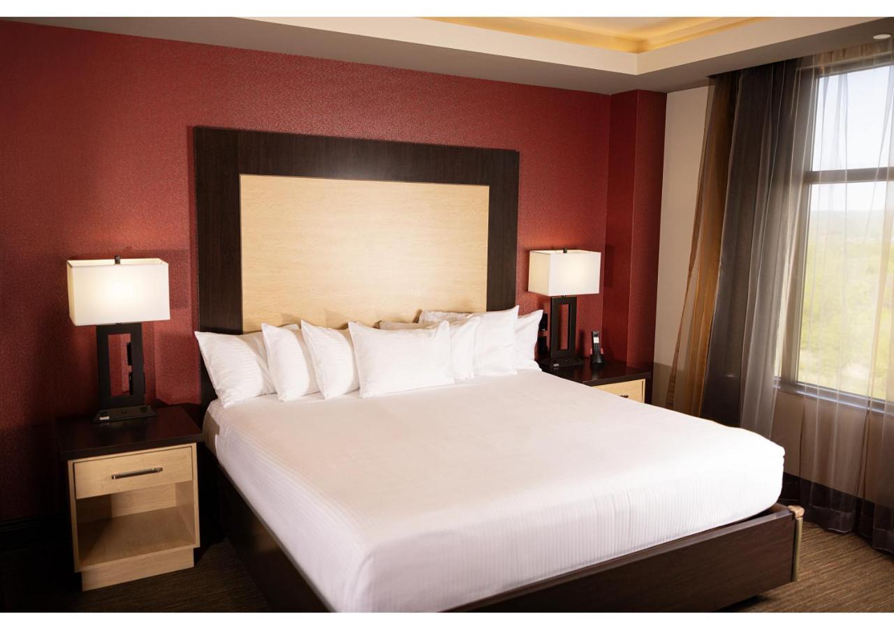 Superior Suite photo 1