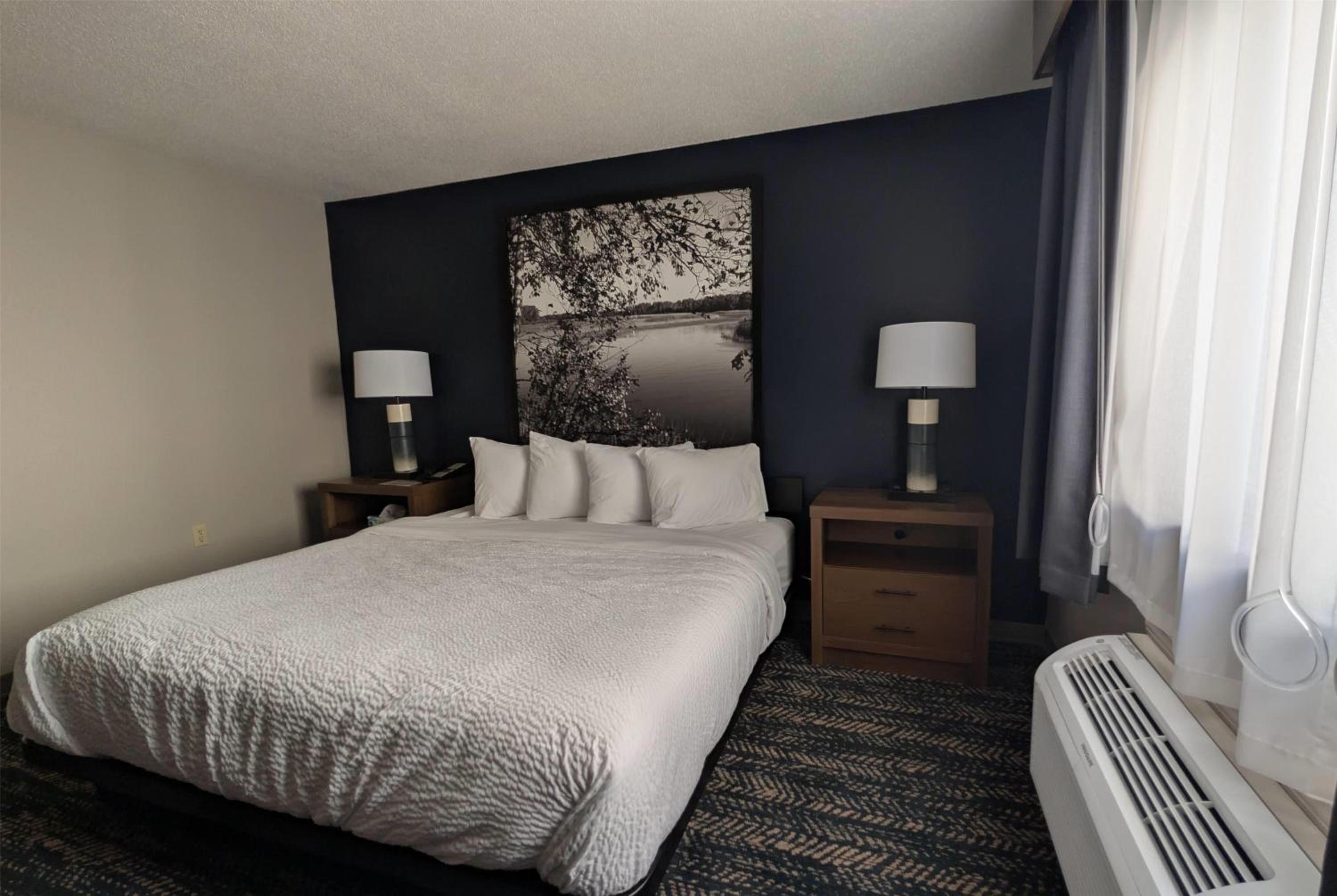 King Room with One King Bed and Bathtub with Grab Bars - Accessible - Non-Smoking