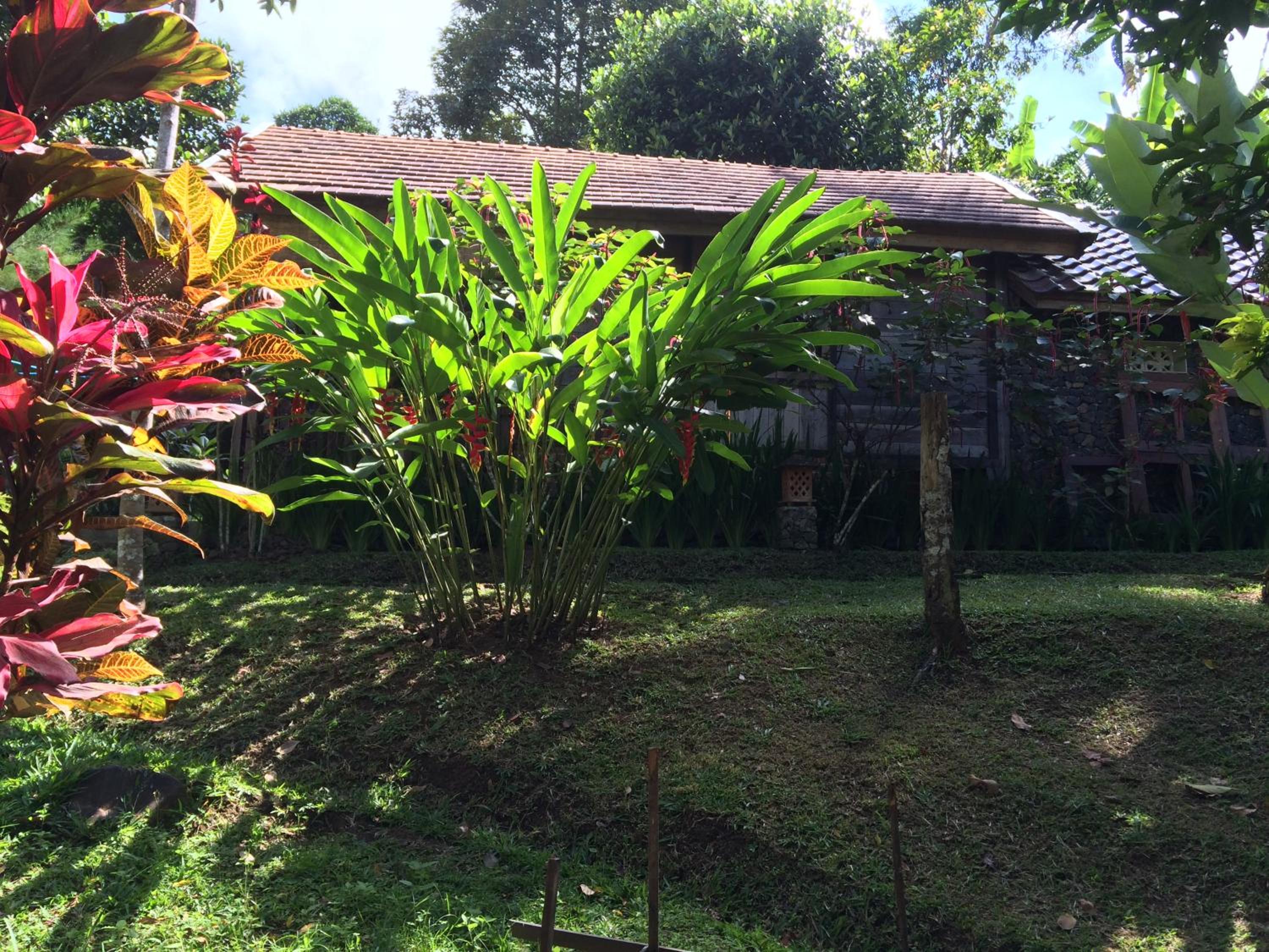 Bungalow - Photo 9