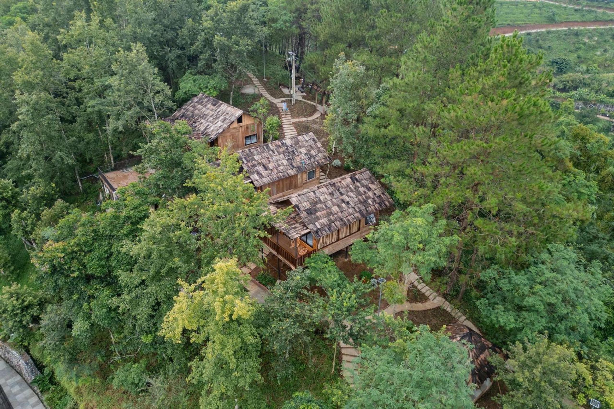 Bungalow with Garden View photo 3