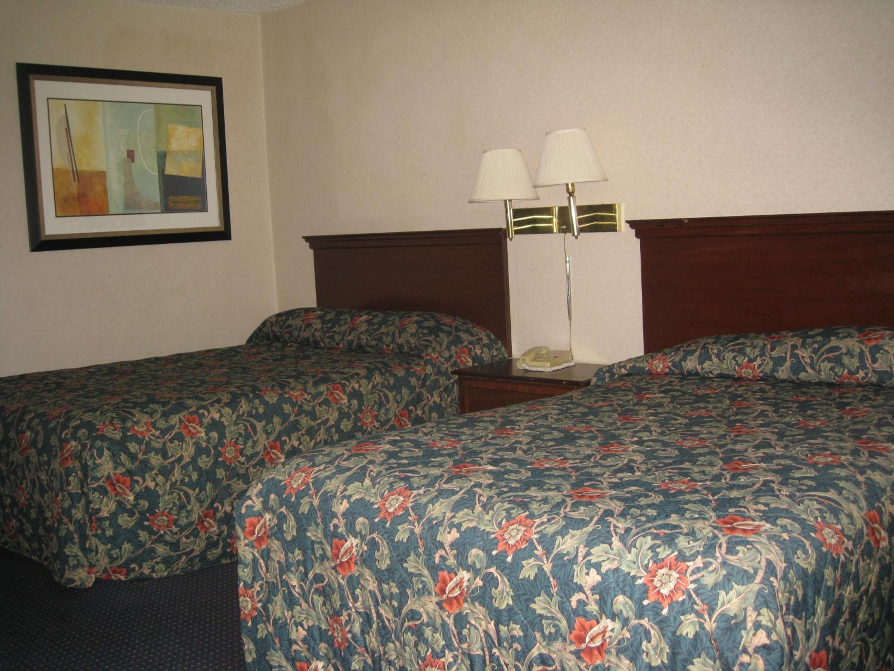 Double Room - Disability Access - Photo 2