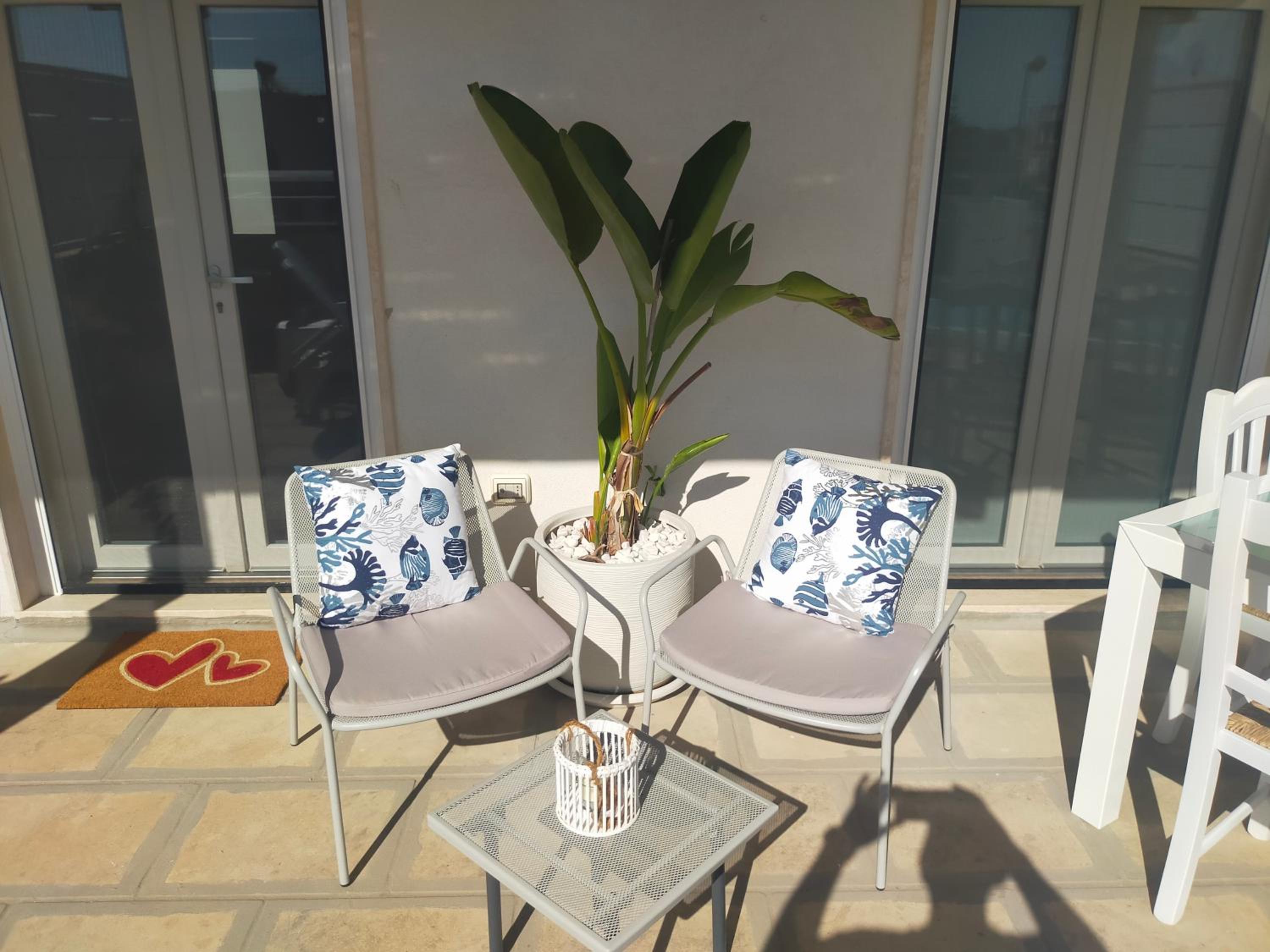 Studio with Terrace photo 3