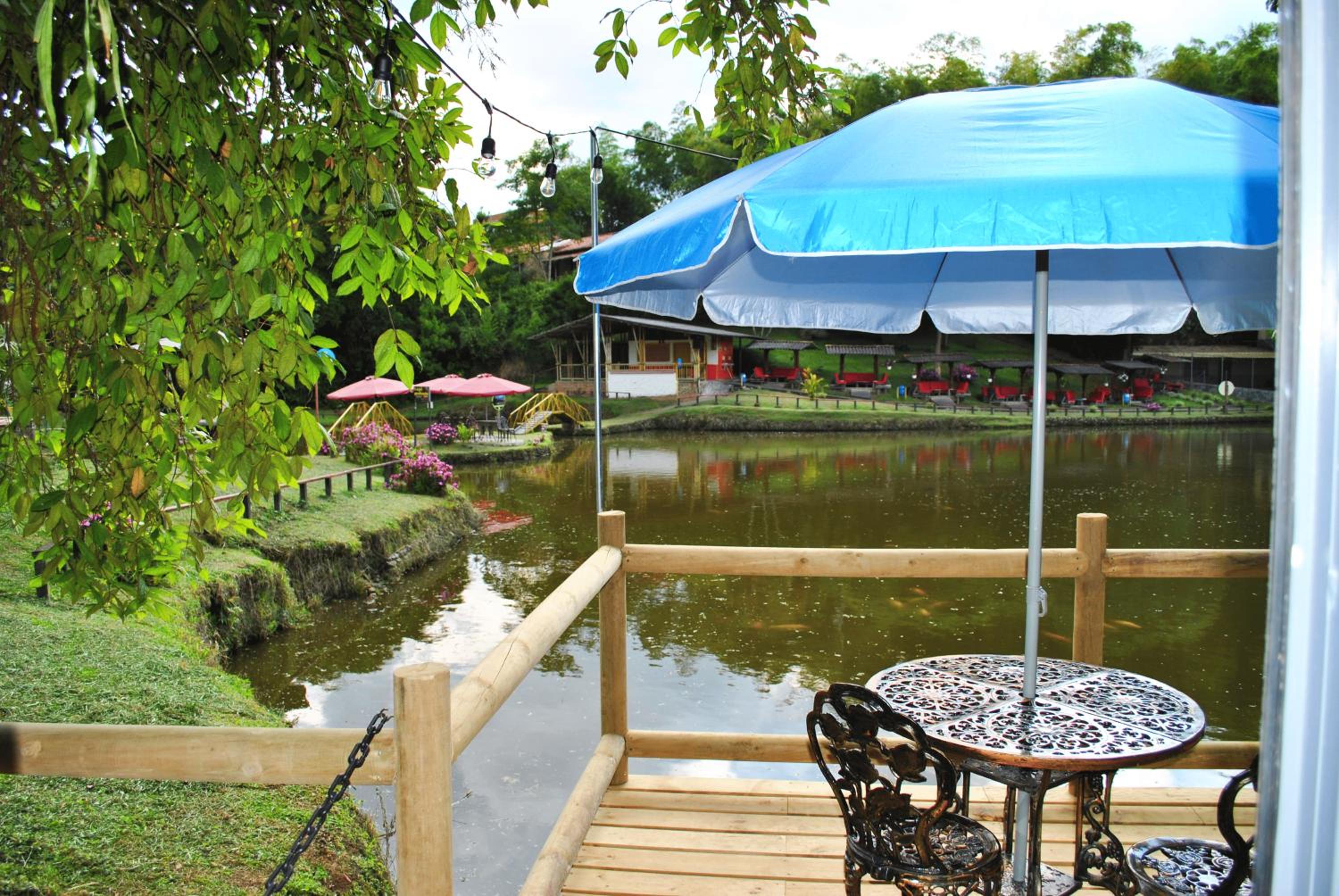 Double Room with Terrace