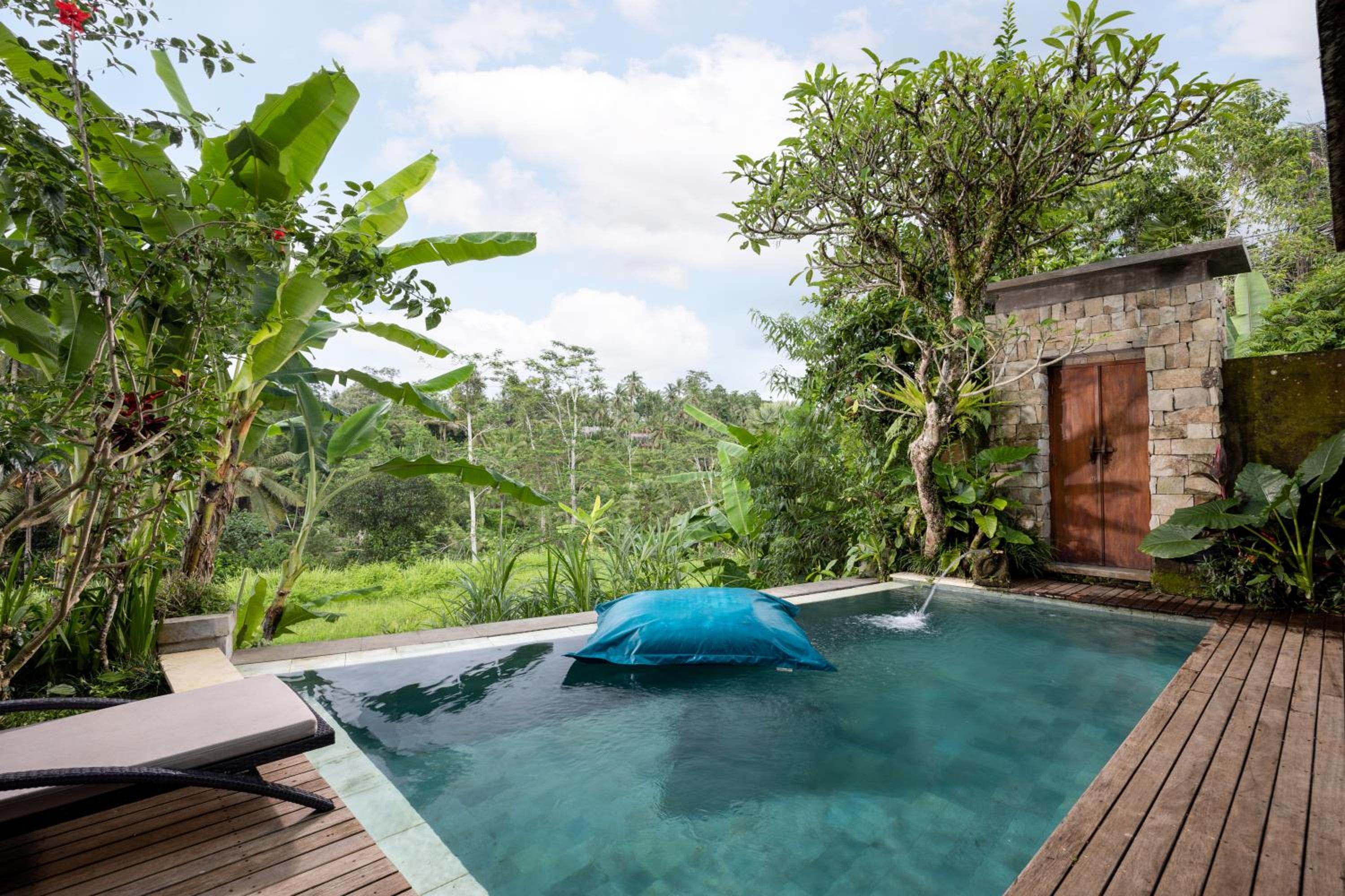 Deluxe Villa photo 3