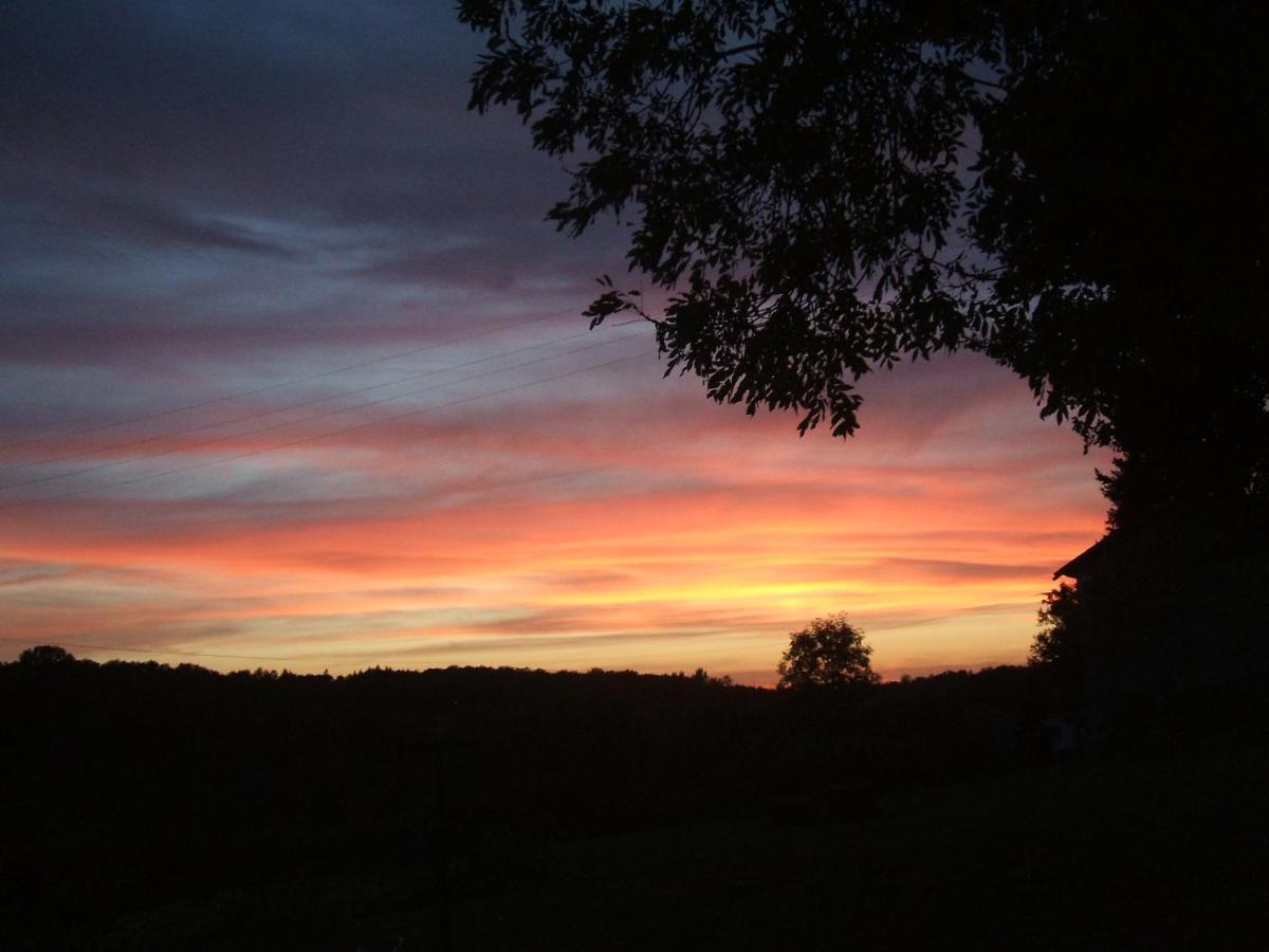 Holiday Home photo 1