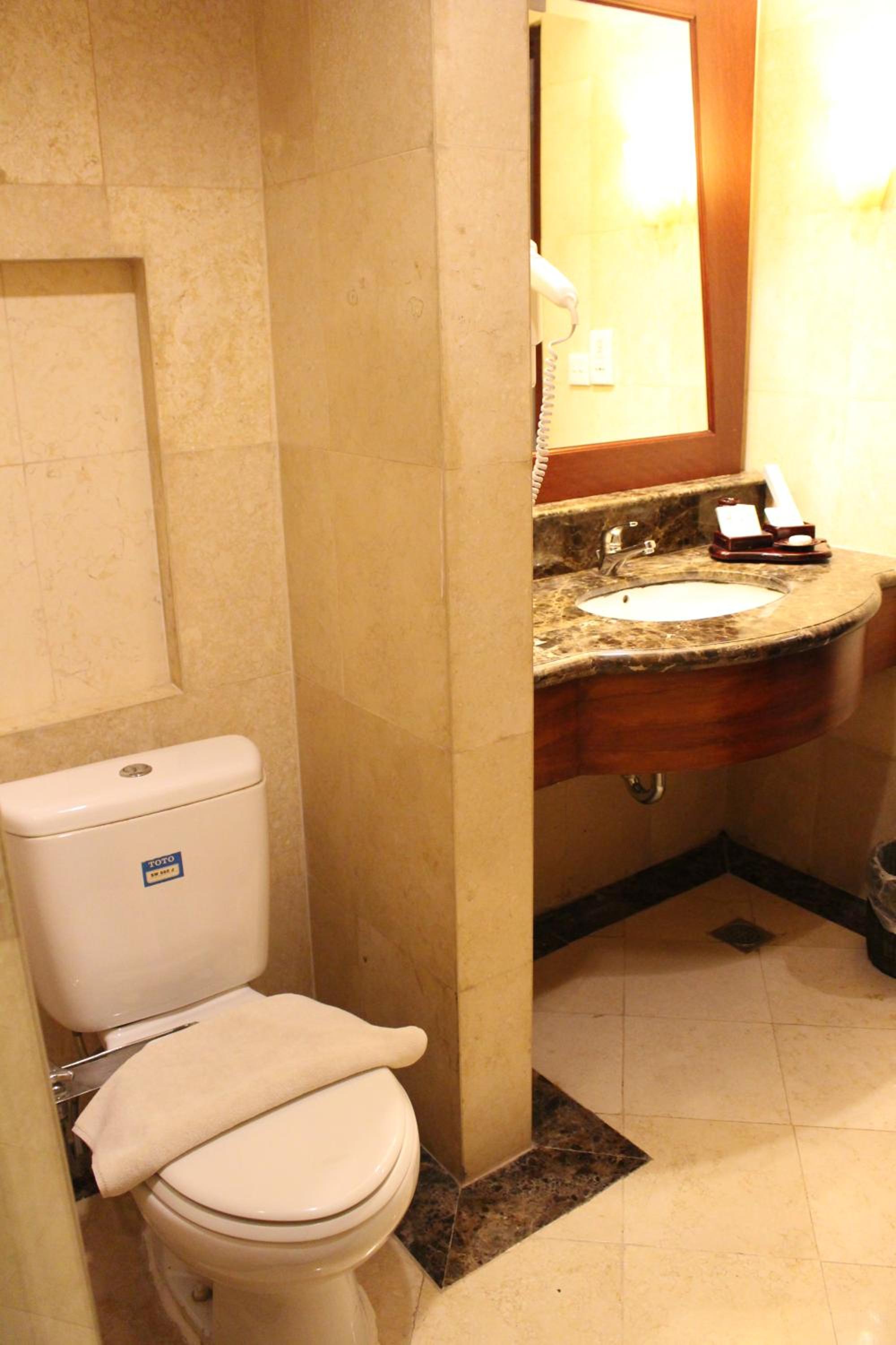 Deluxe Double or Twin Room - Photo 7
