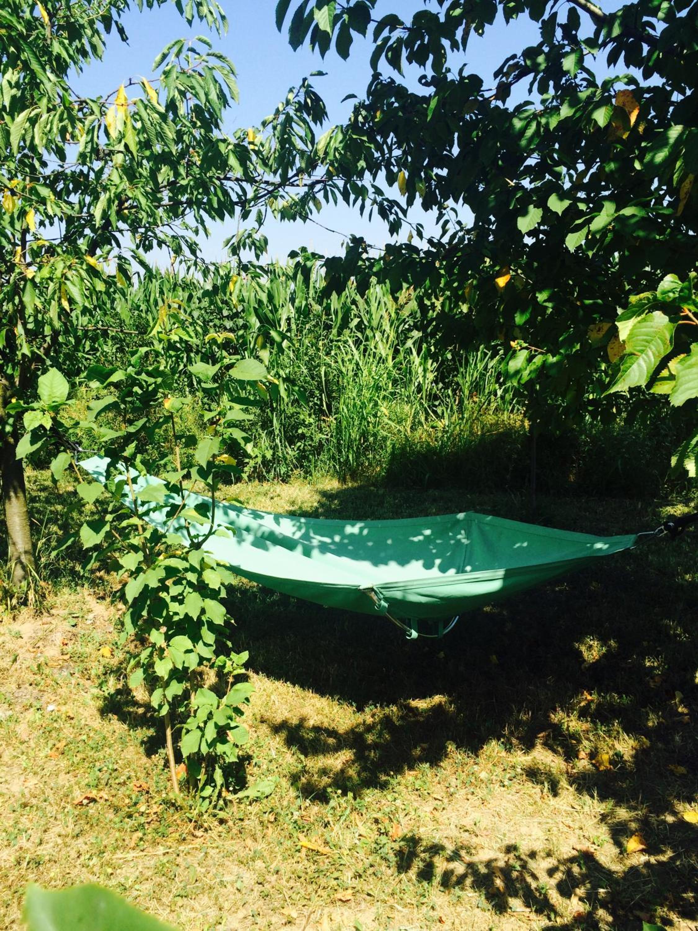 Vacation Home photo 2