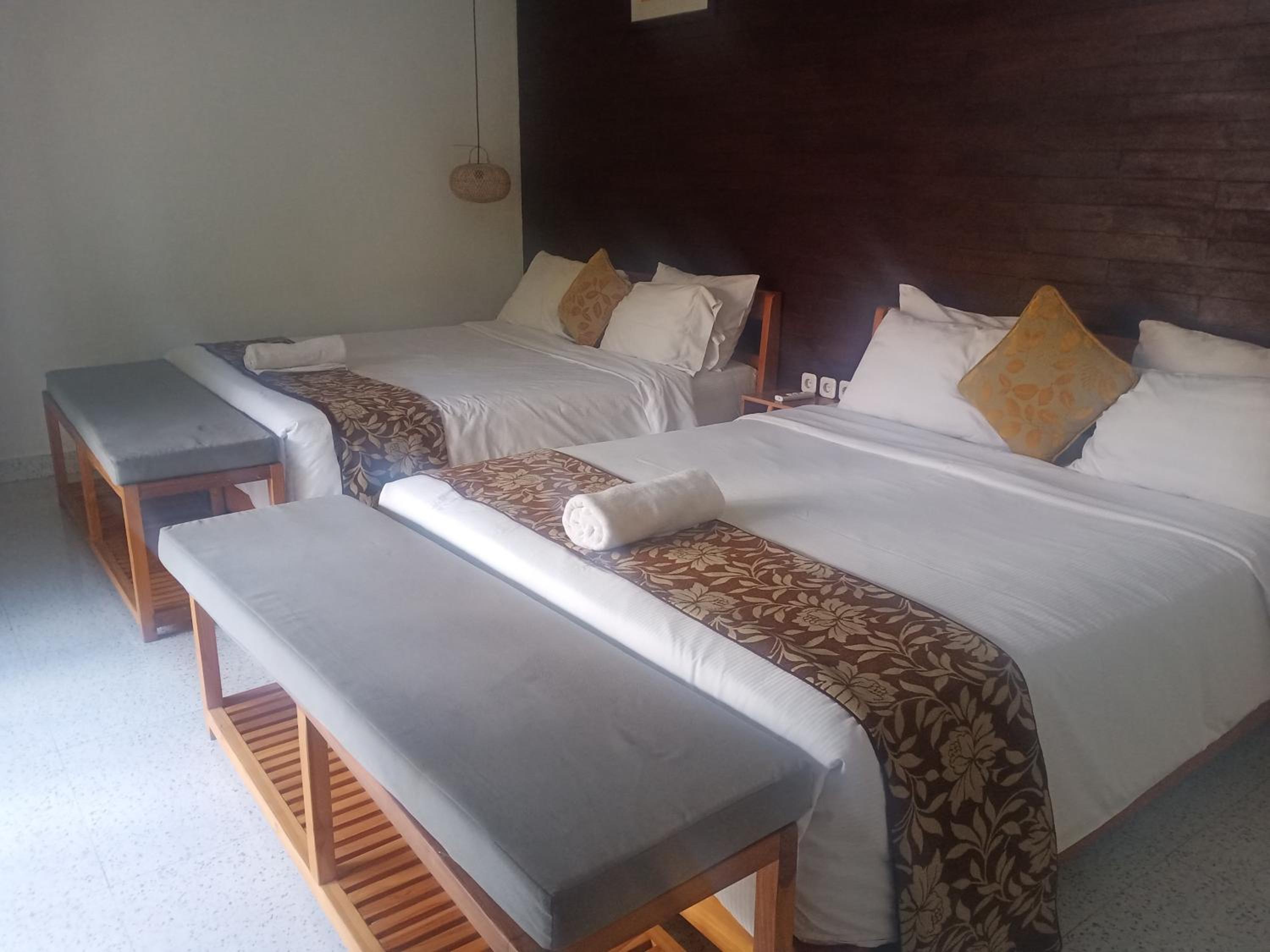 Twin Room with Terrace photo 2