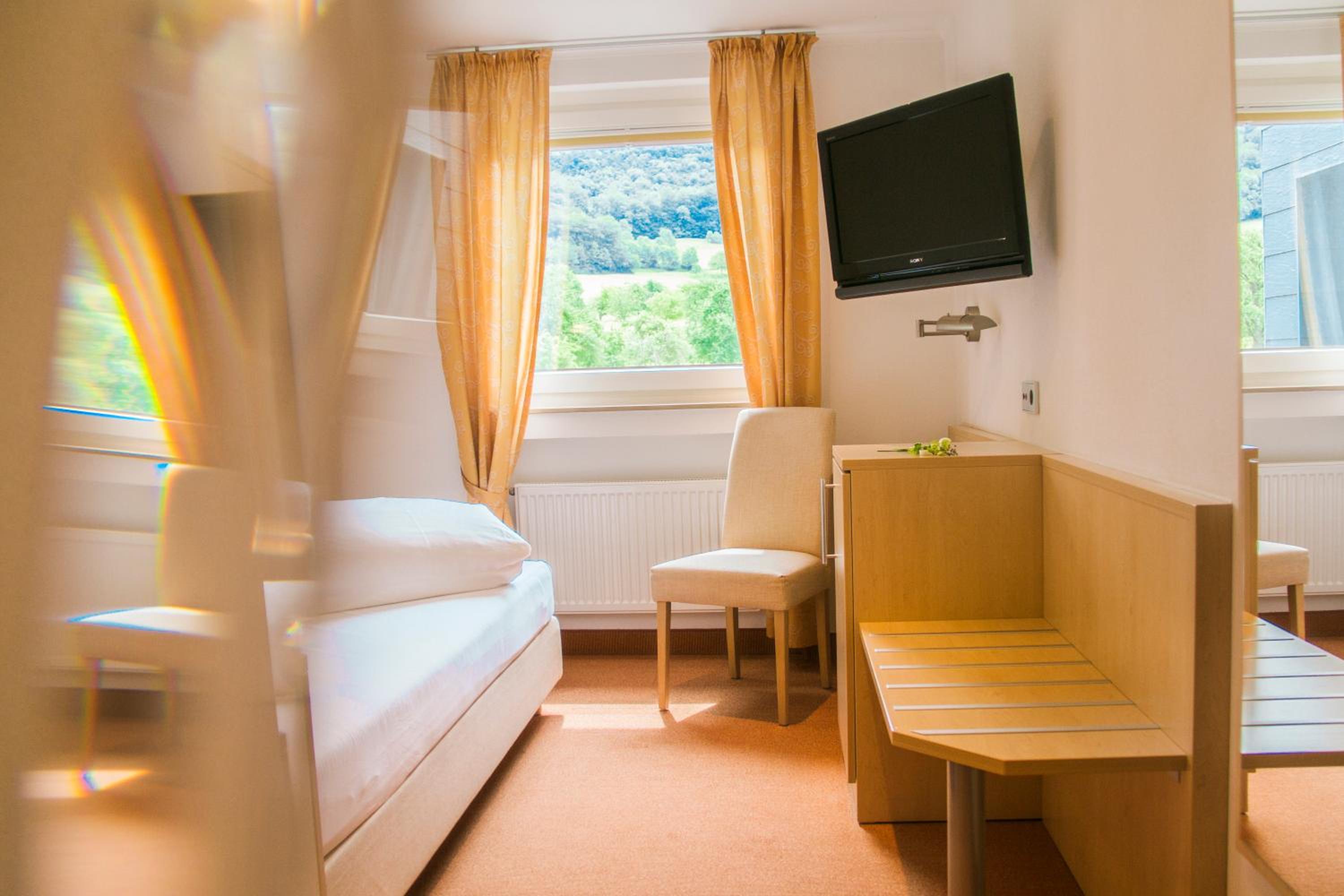 Standard Single Room with Mountain View
